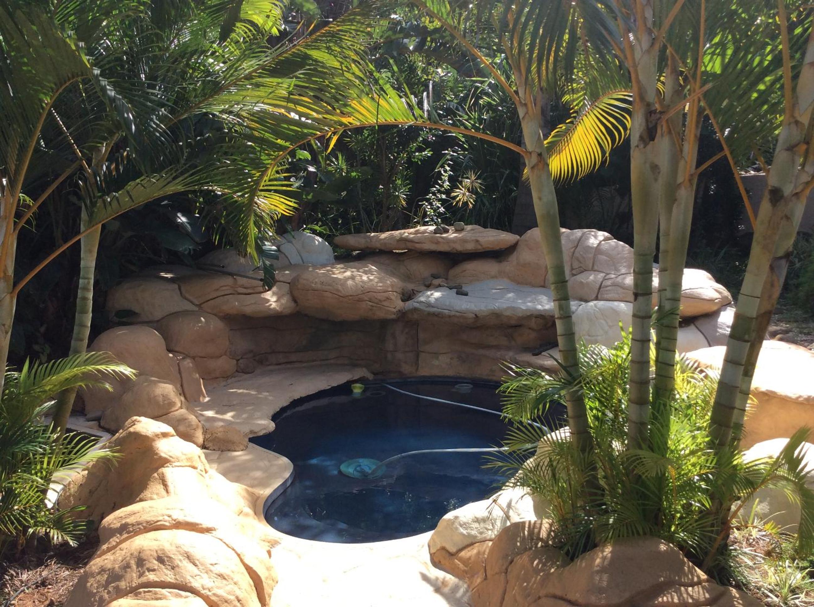 Tropical Paradise Images