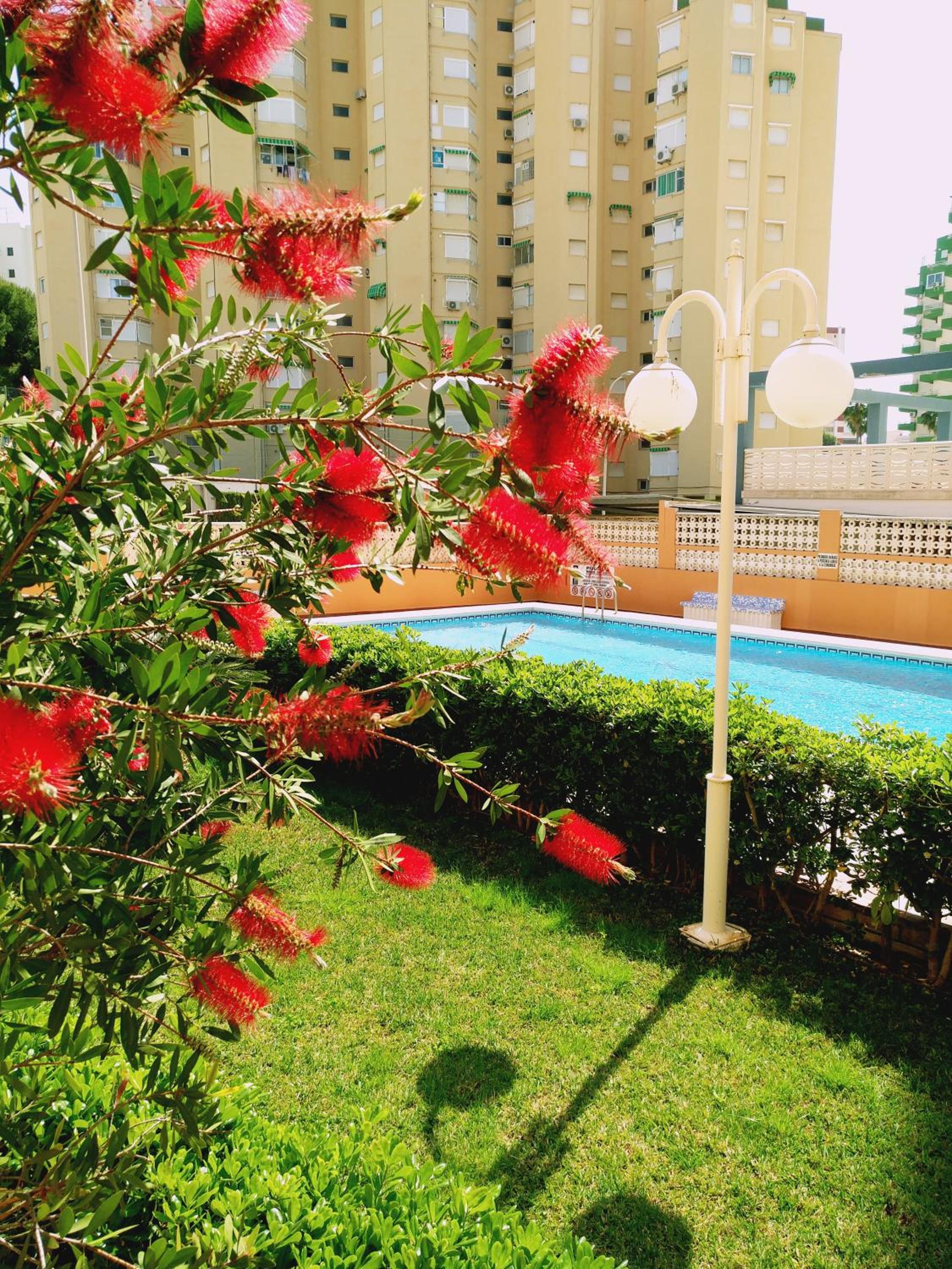 Apartamento Antillas Images