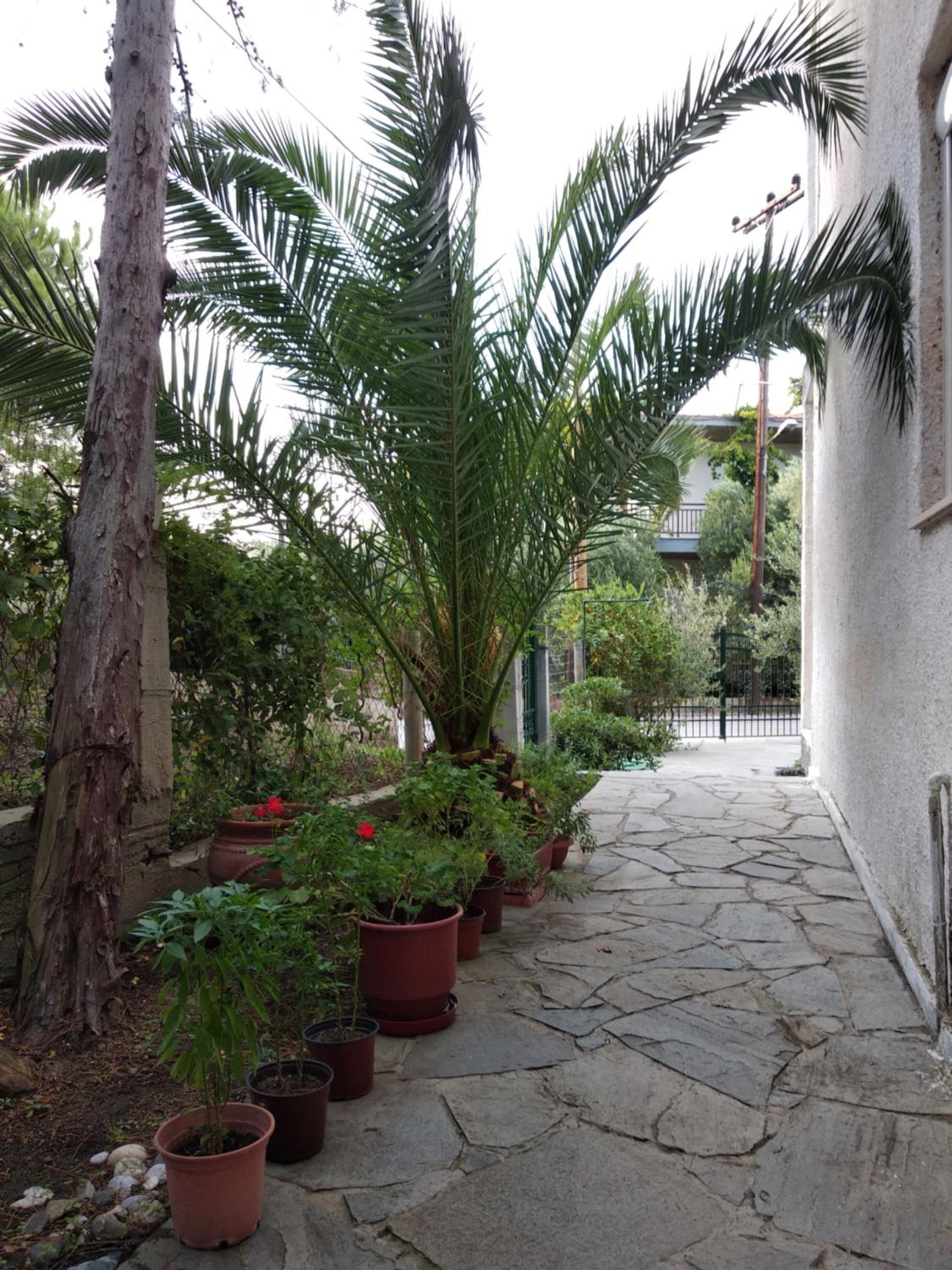 Velikis Apartments Images