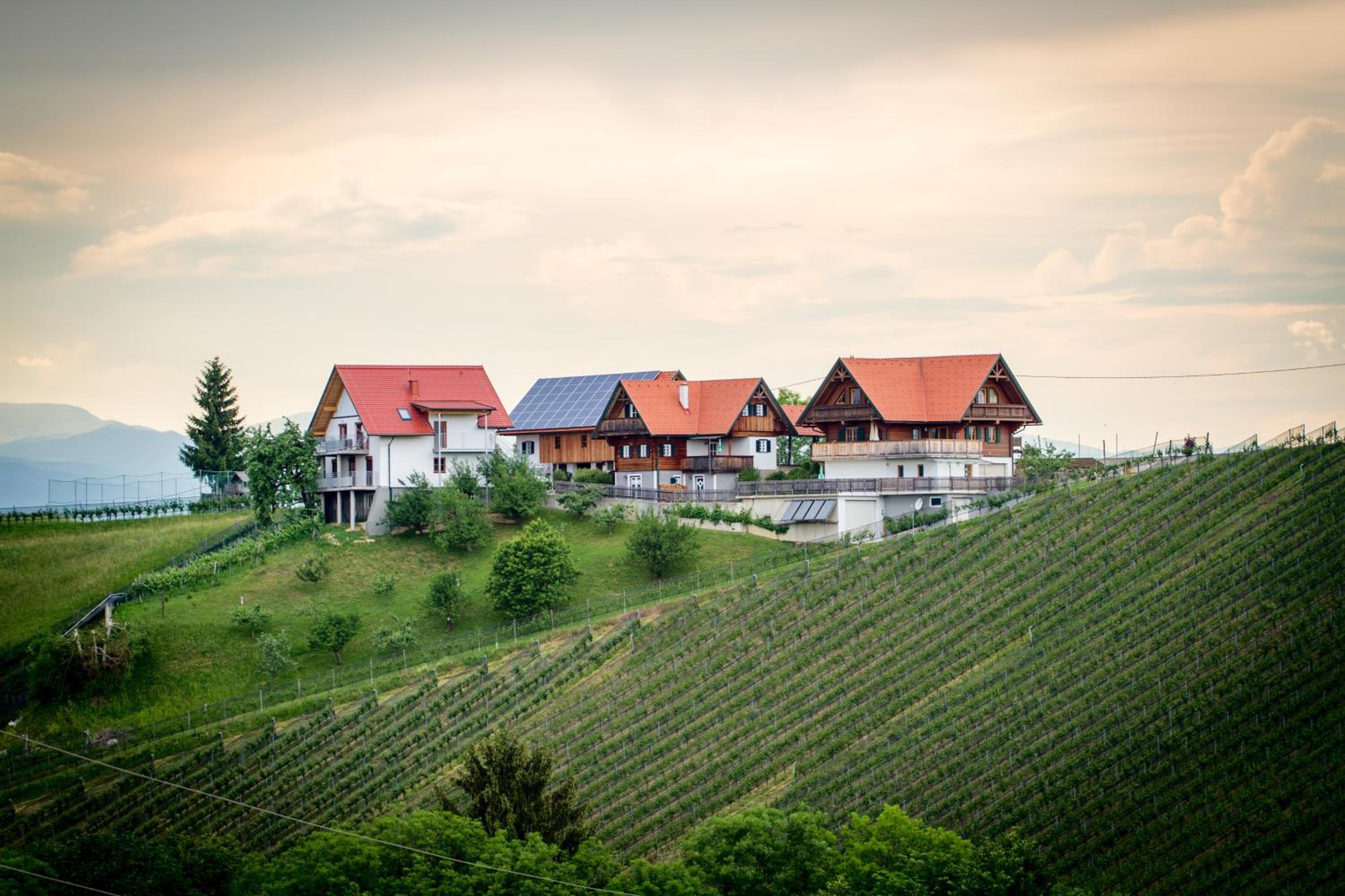 Ferienwohnung Traumaussicht Images