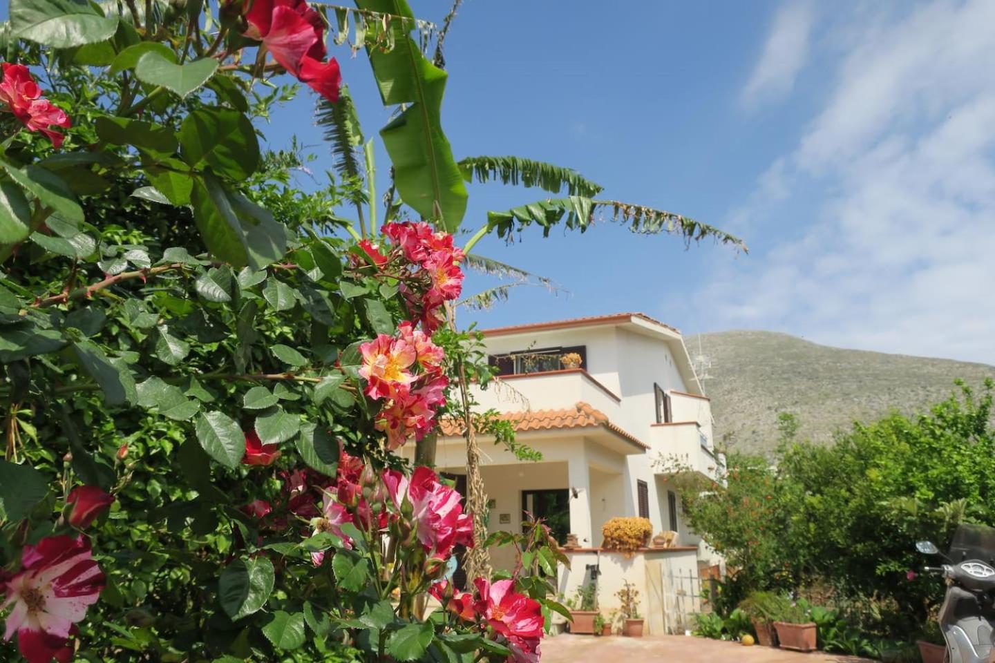 Il Roseto di Betty villa piano T e 1 Images