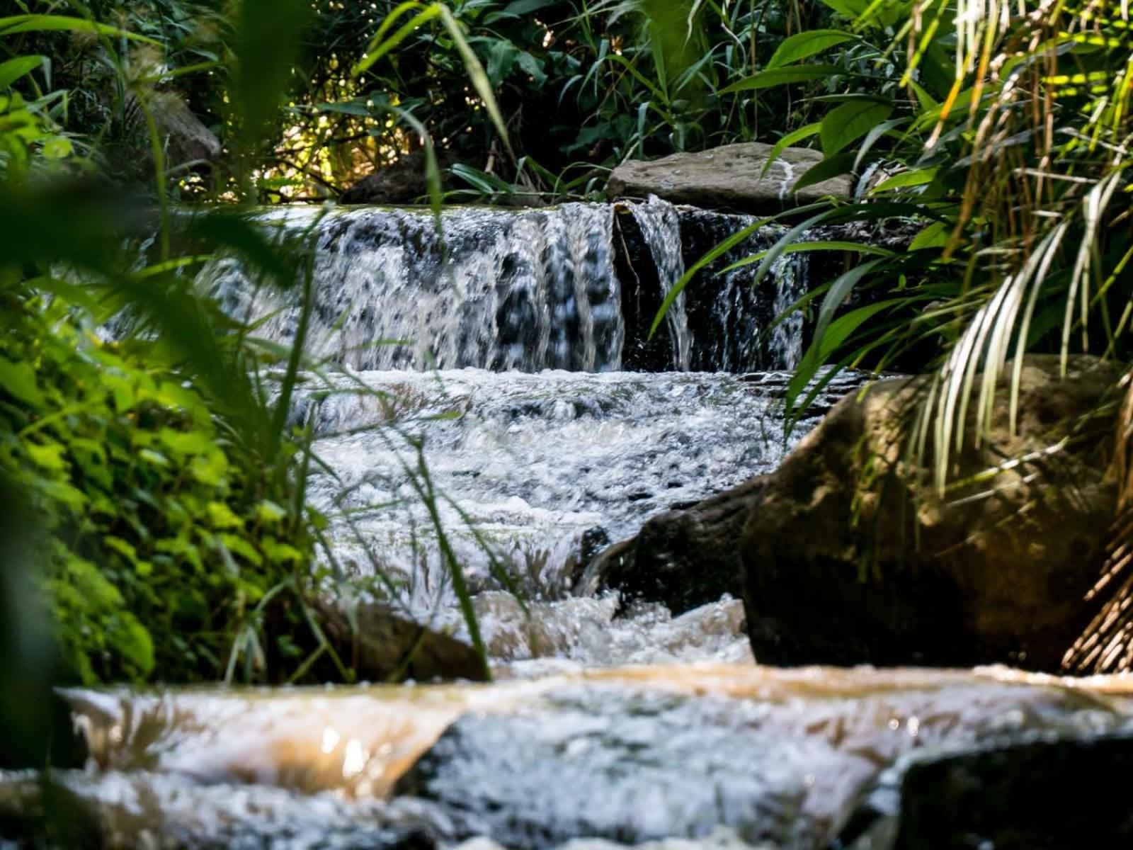 Africa's Eden Guesthouse Images