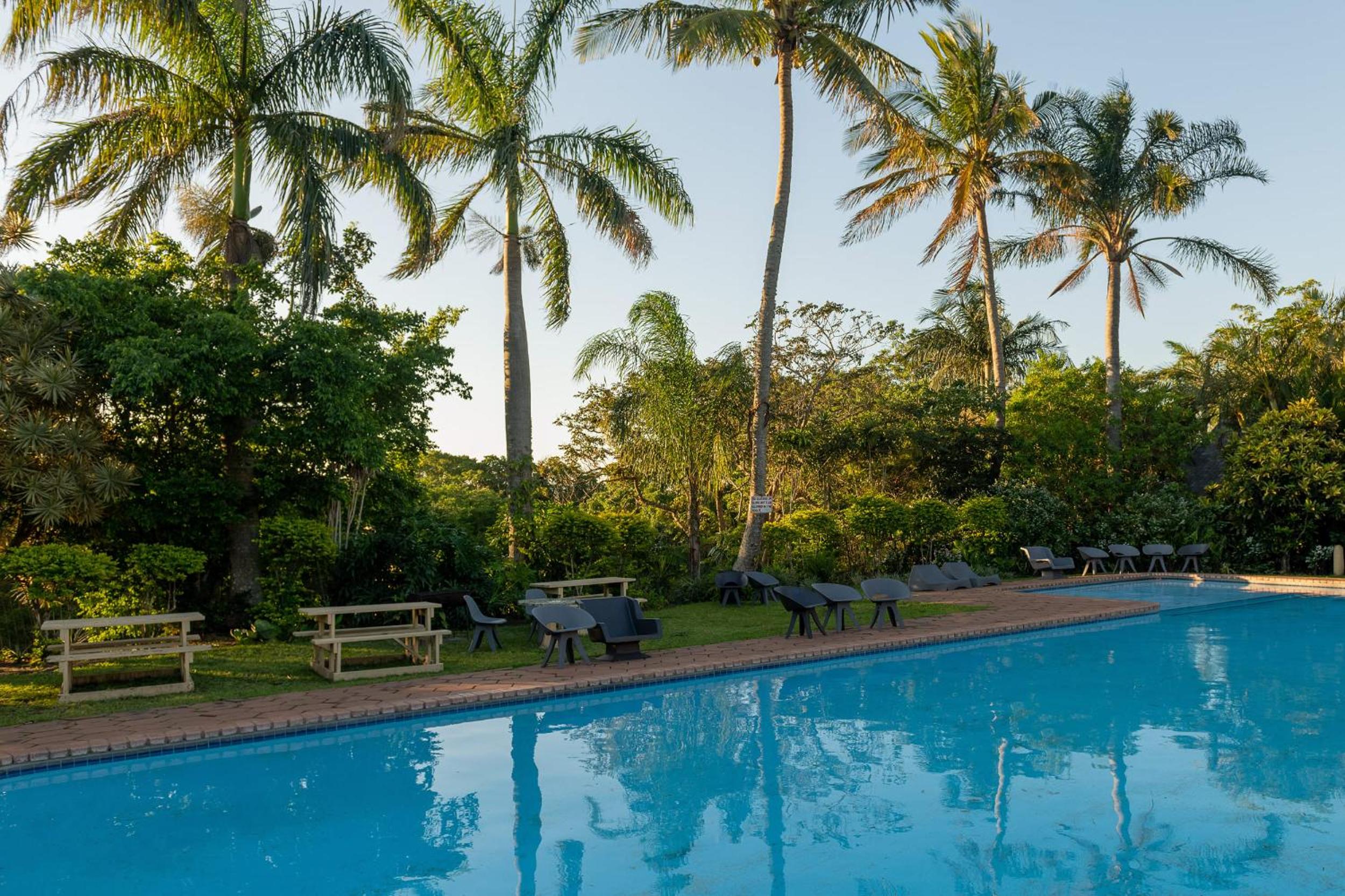 Pelicans Pad @ St Lucia Images