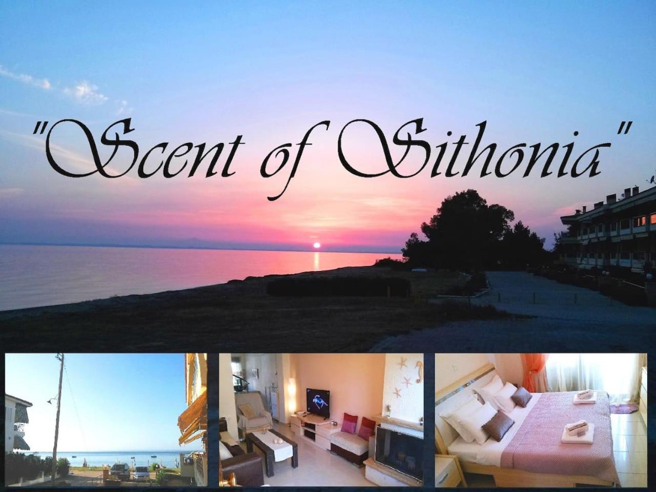 Beachfront SCENT OF SITHONIA with pool, Gerakini, Halikidiki Images