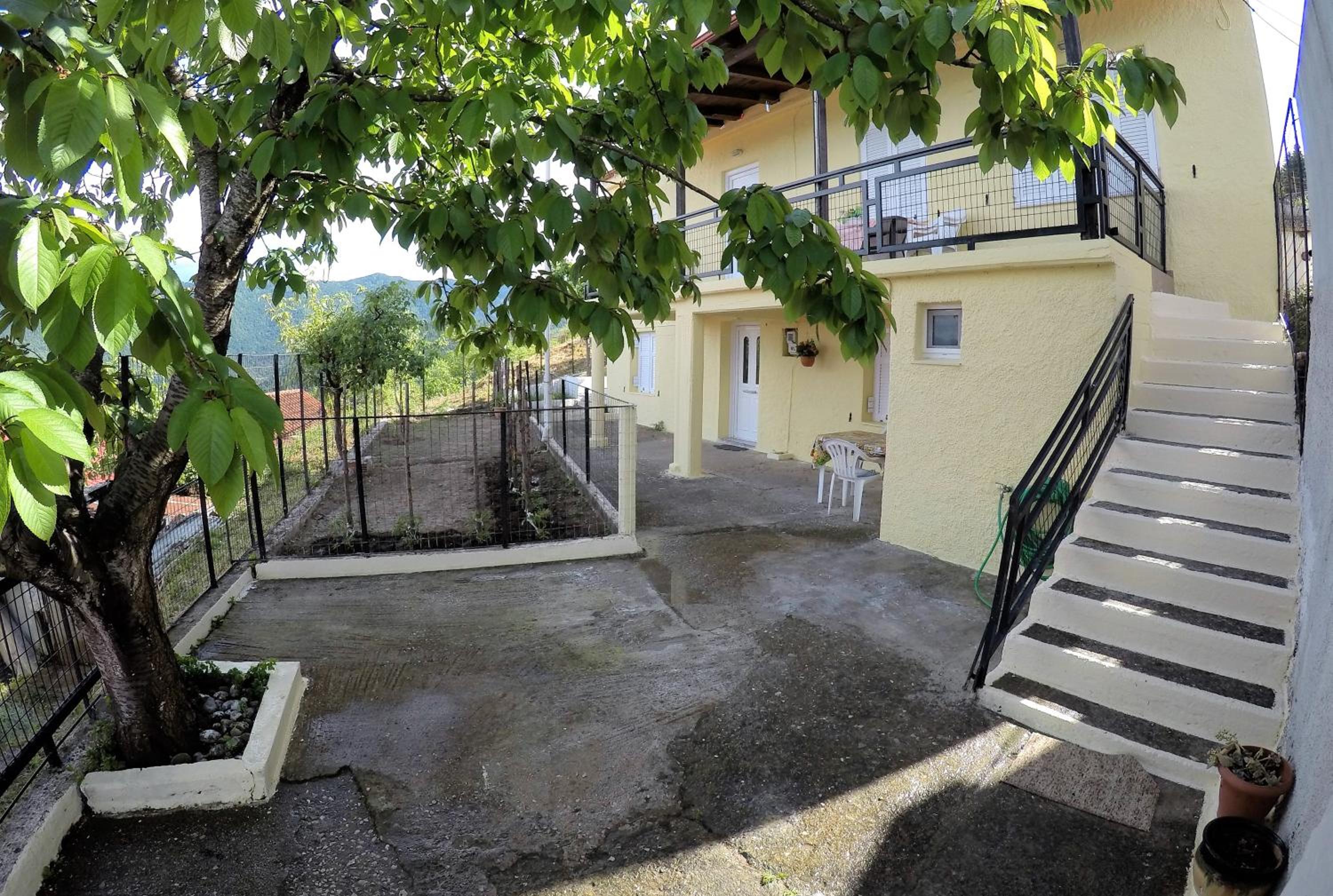 Antoni's House Images