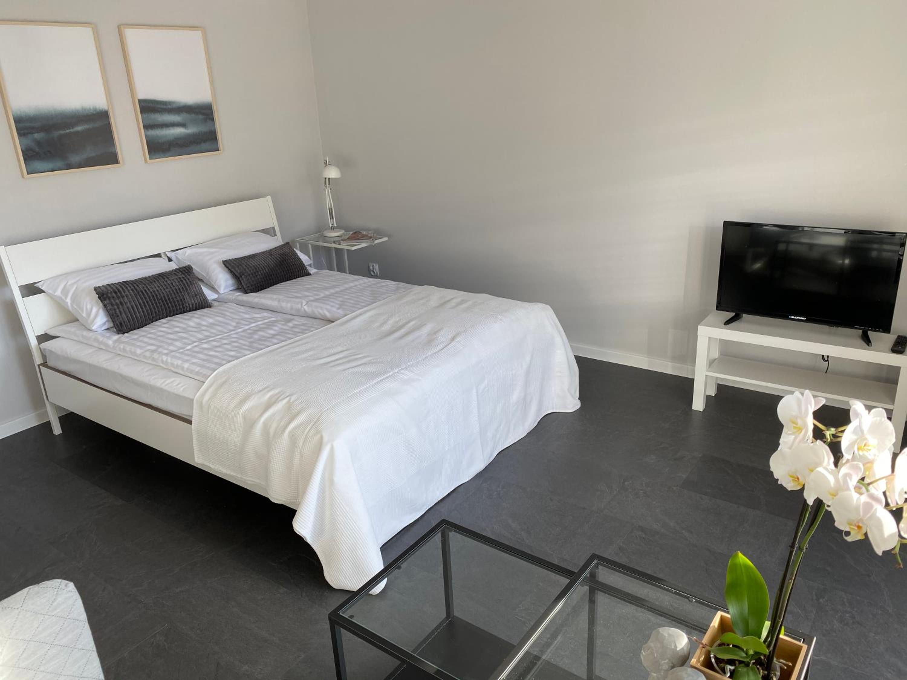 APARTAMENT ŚMIAŁEGO 9 Images