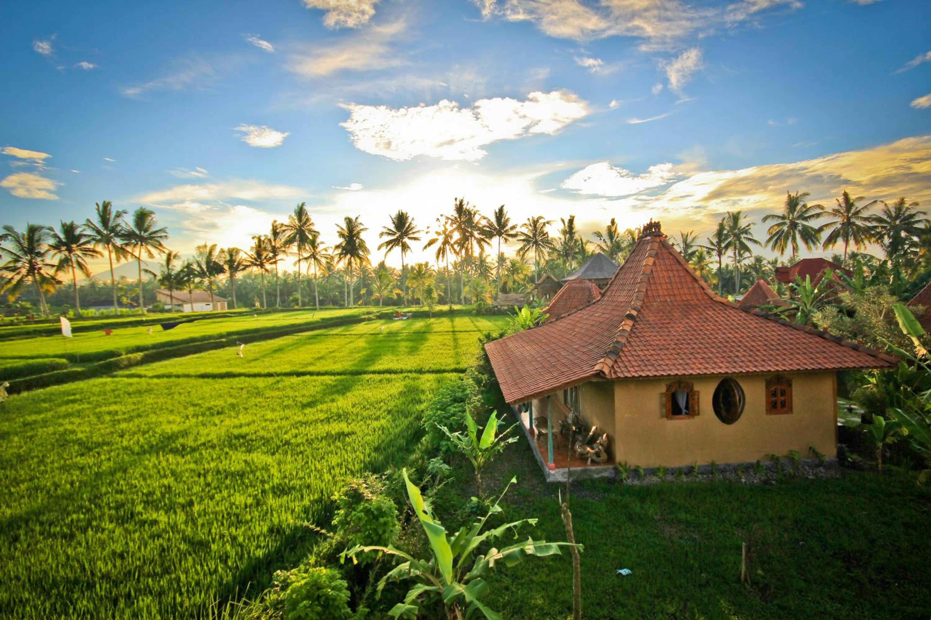 Dragonfly Village