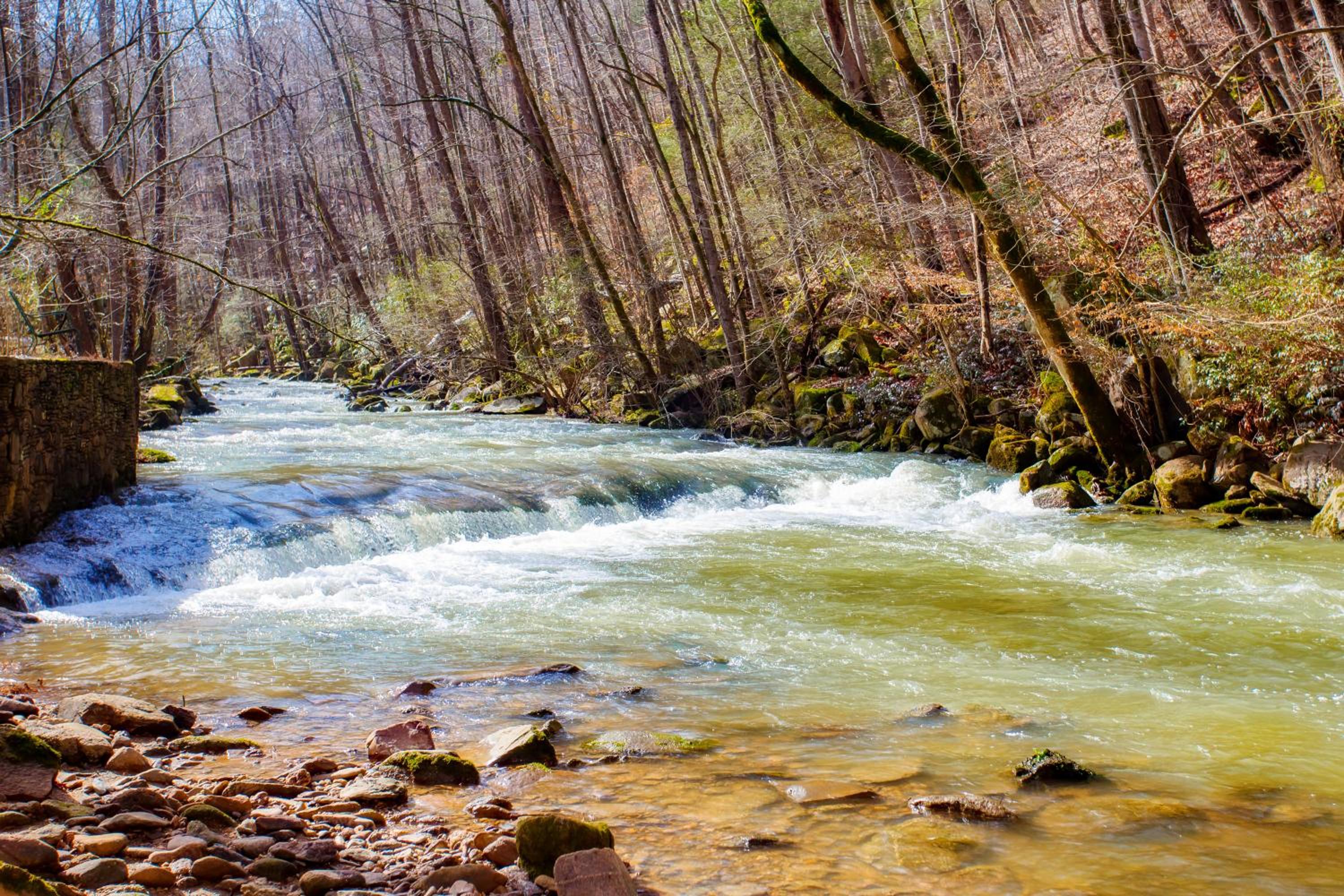 A Waterfall Retreat-Get 951 worth of FREE area attraction tickets for each paid day!!! Images