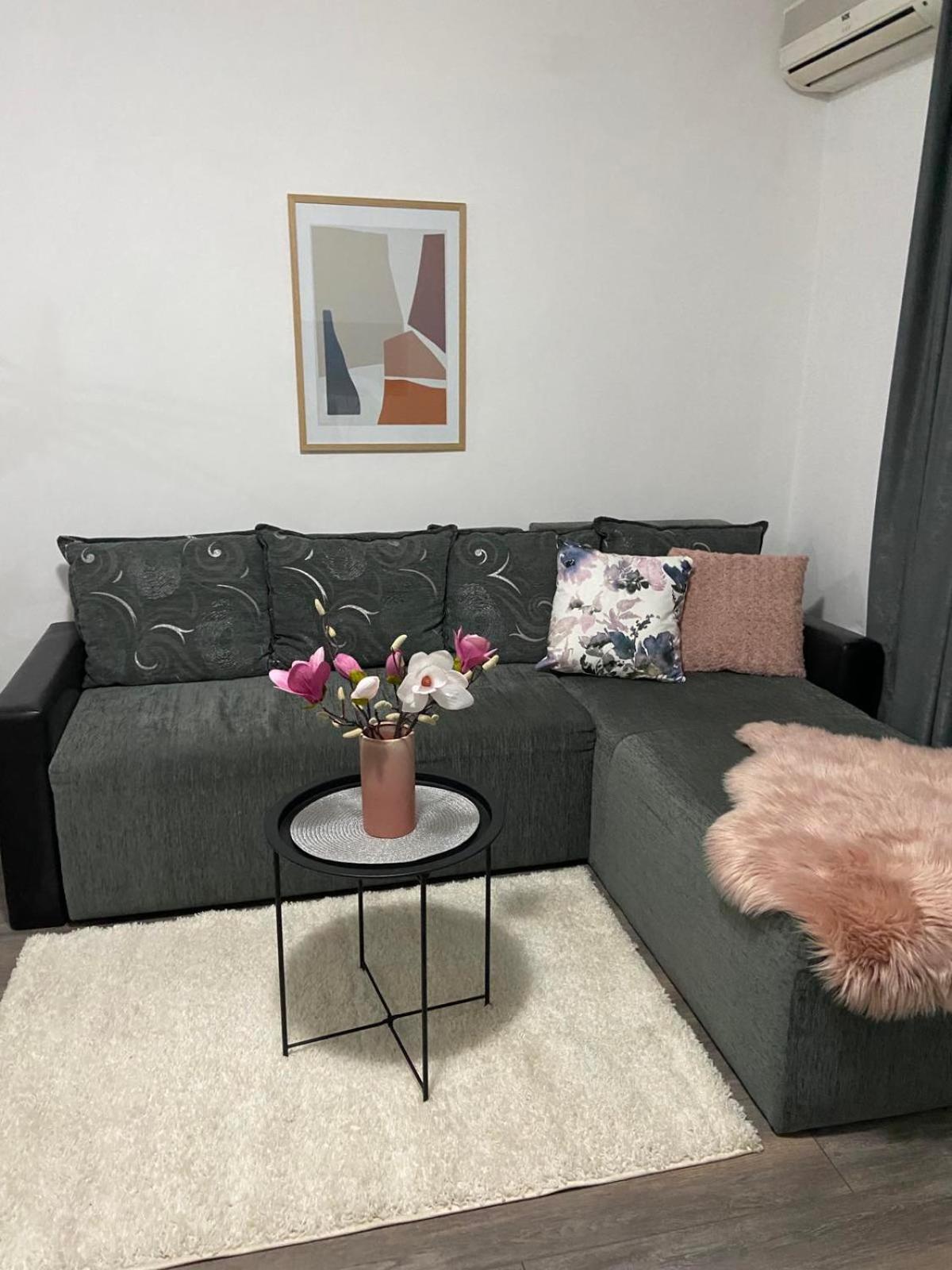 apartman aleksic