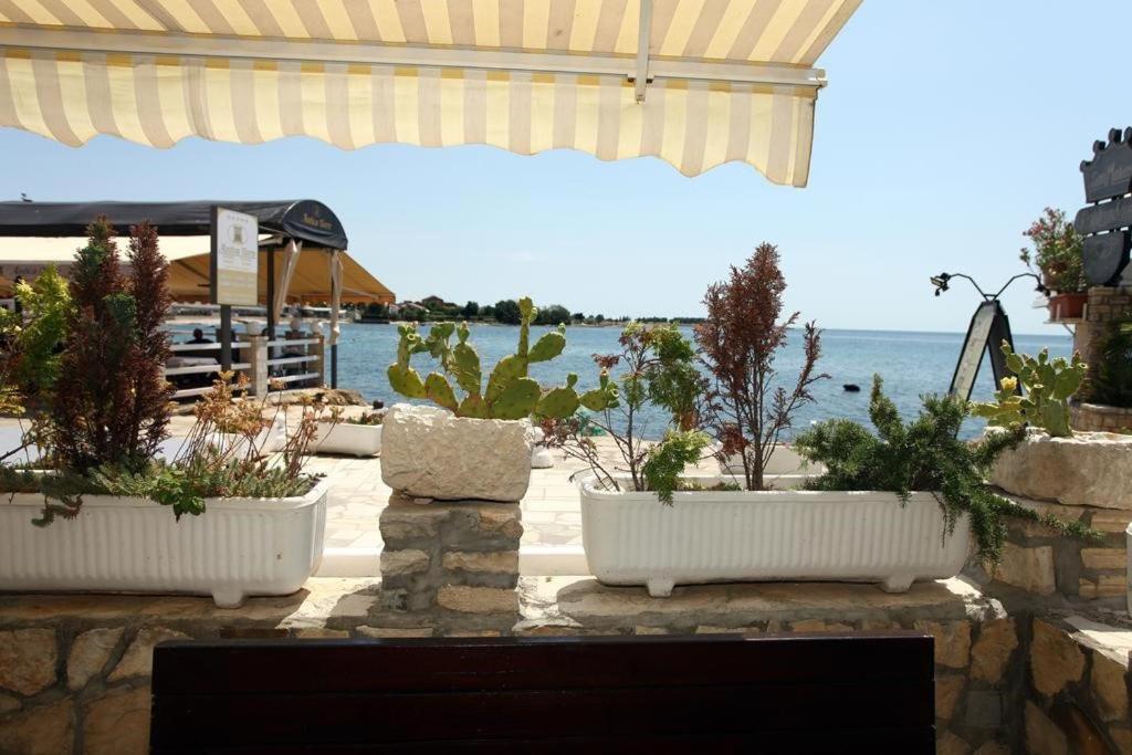 Sea view apartment Umag 2 Images
