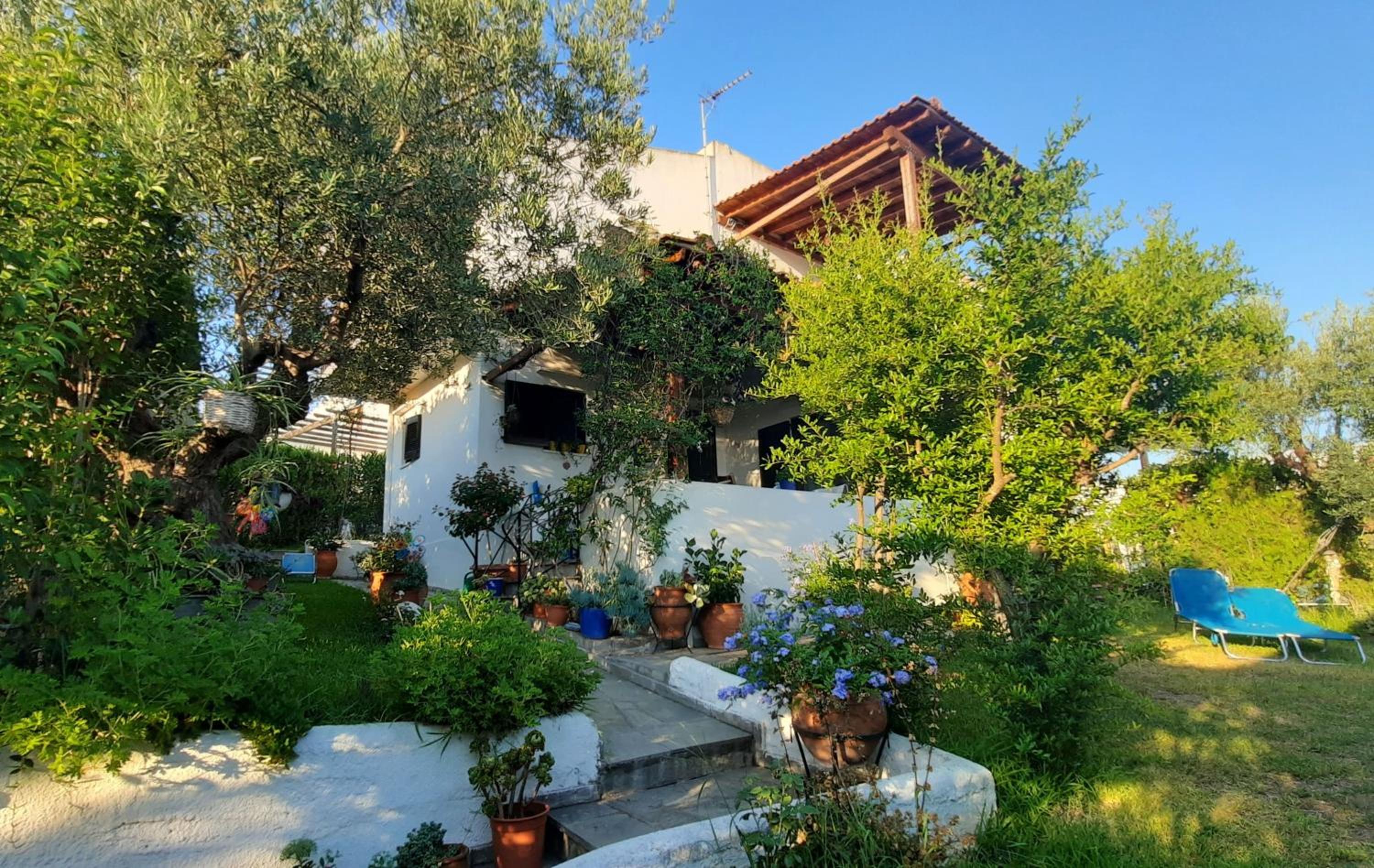 Sonia's House with Garden Images
