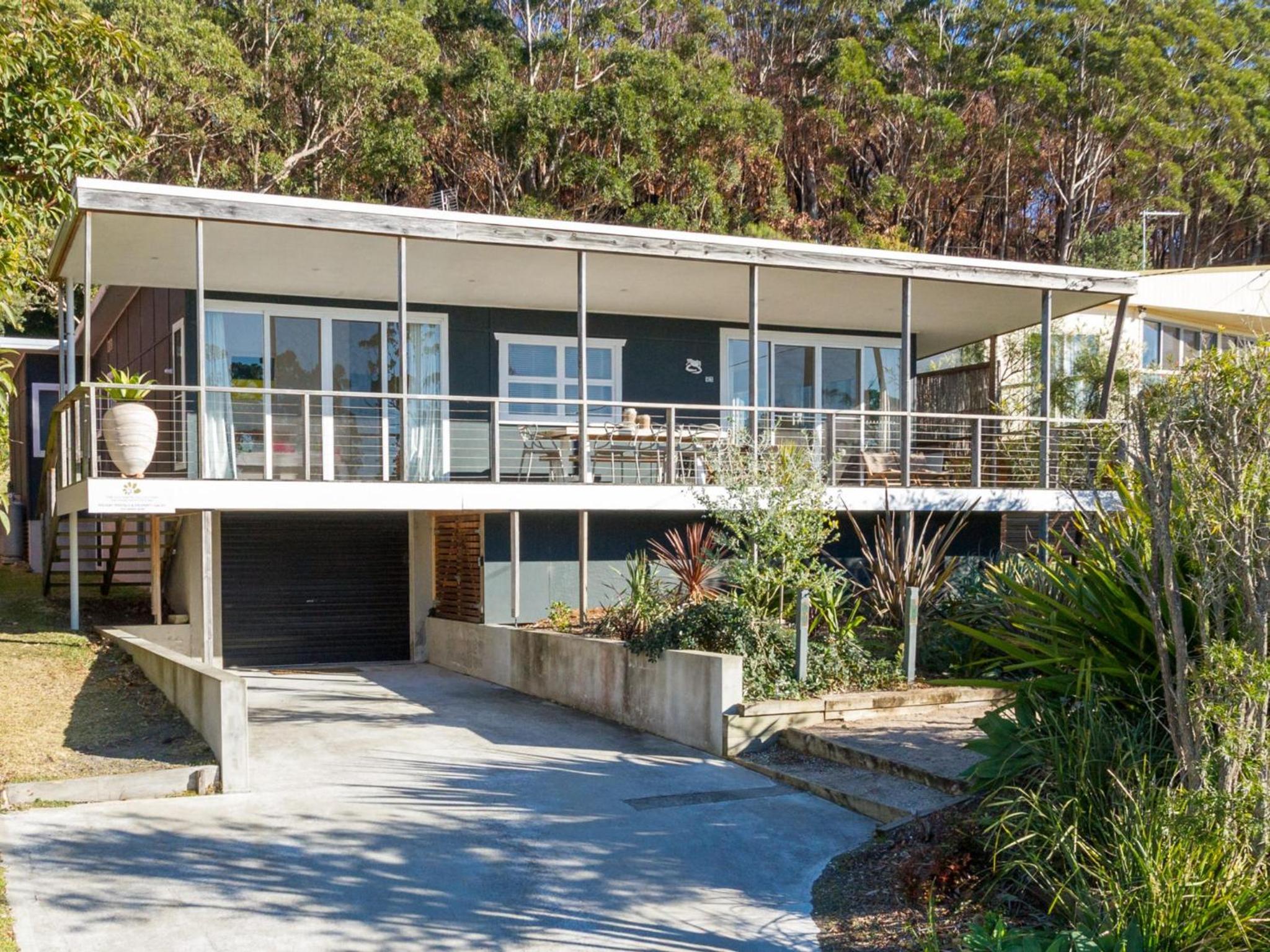 Palmwood at Hyams Beach Images