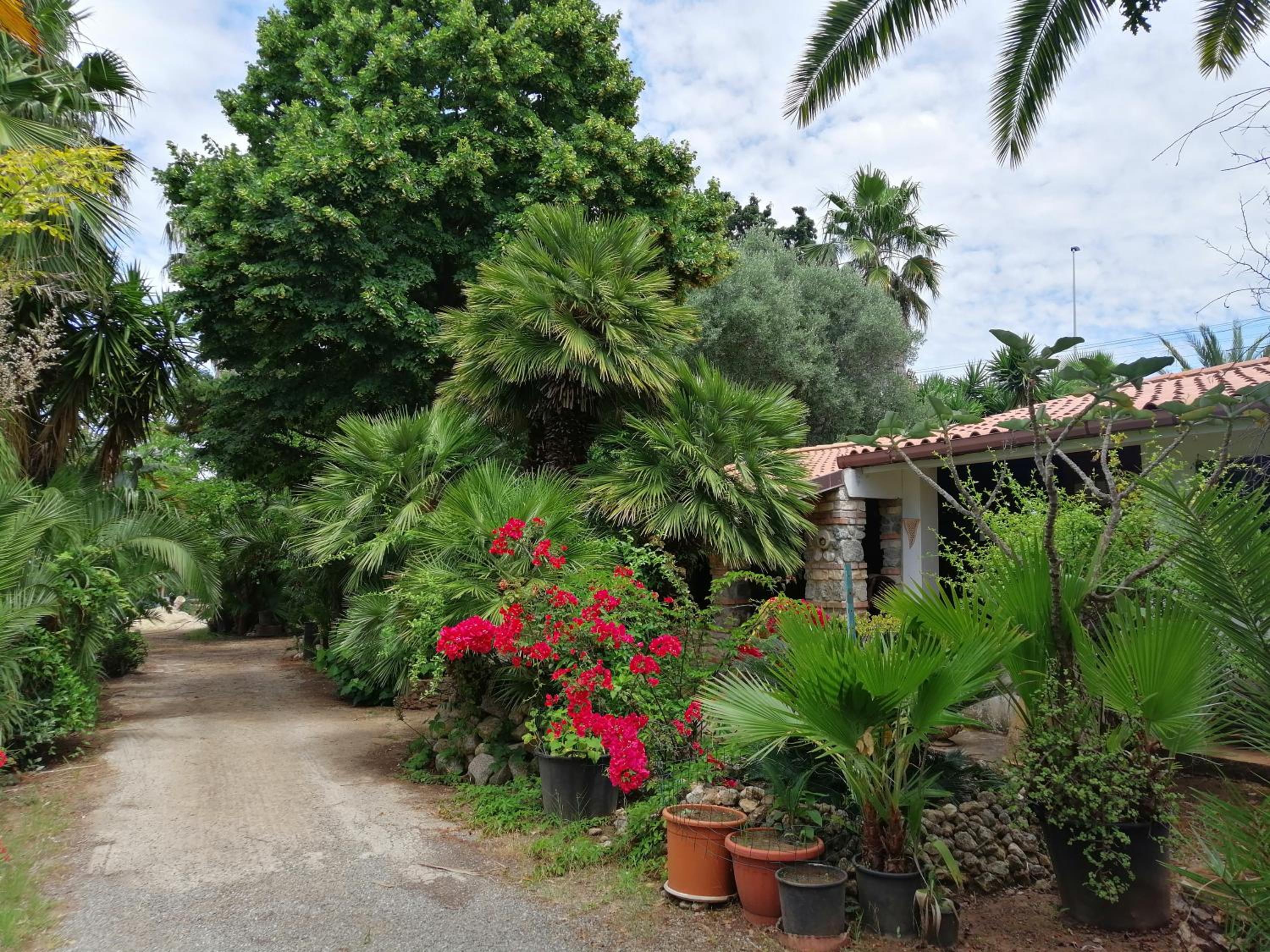 Villa Loco Images