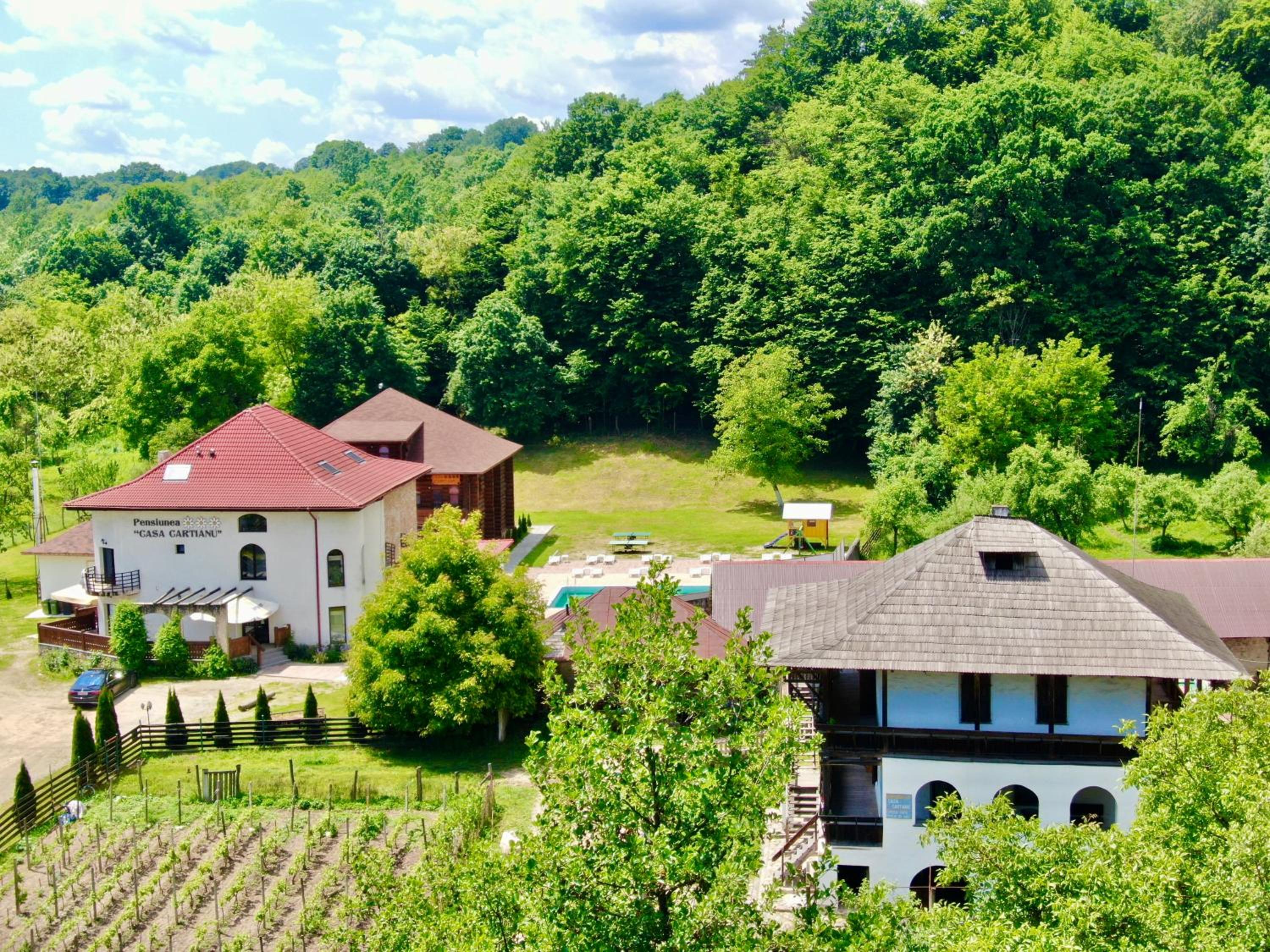 Casa Cartianu Images