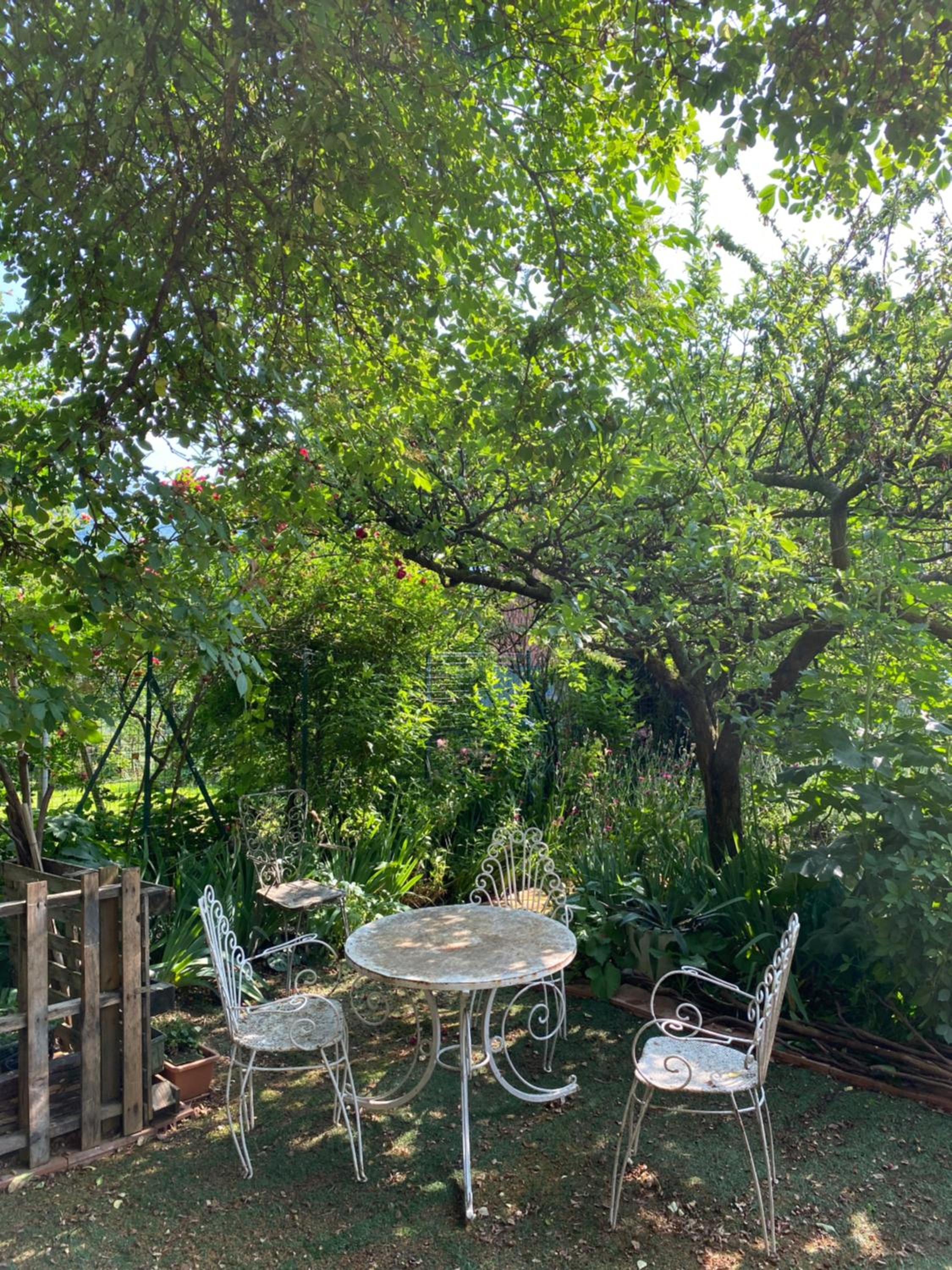 Il Piccolo Giardino Images