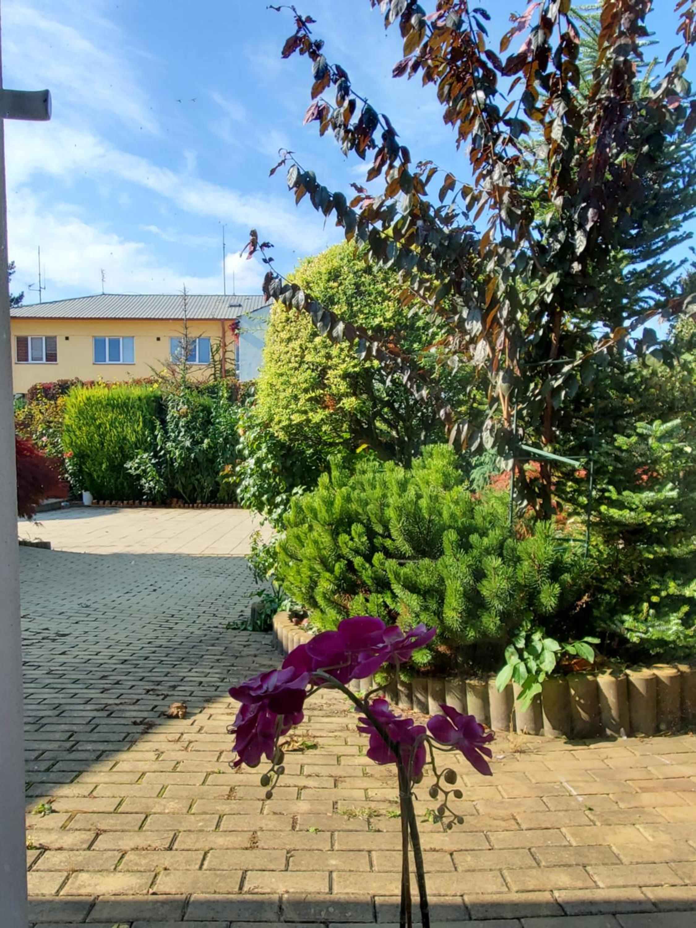 Apartman Starý Liskovec Images
