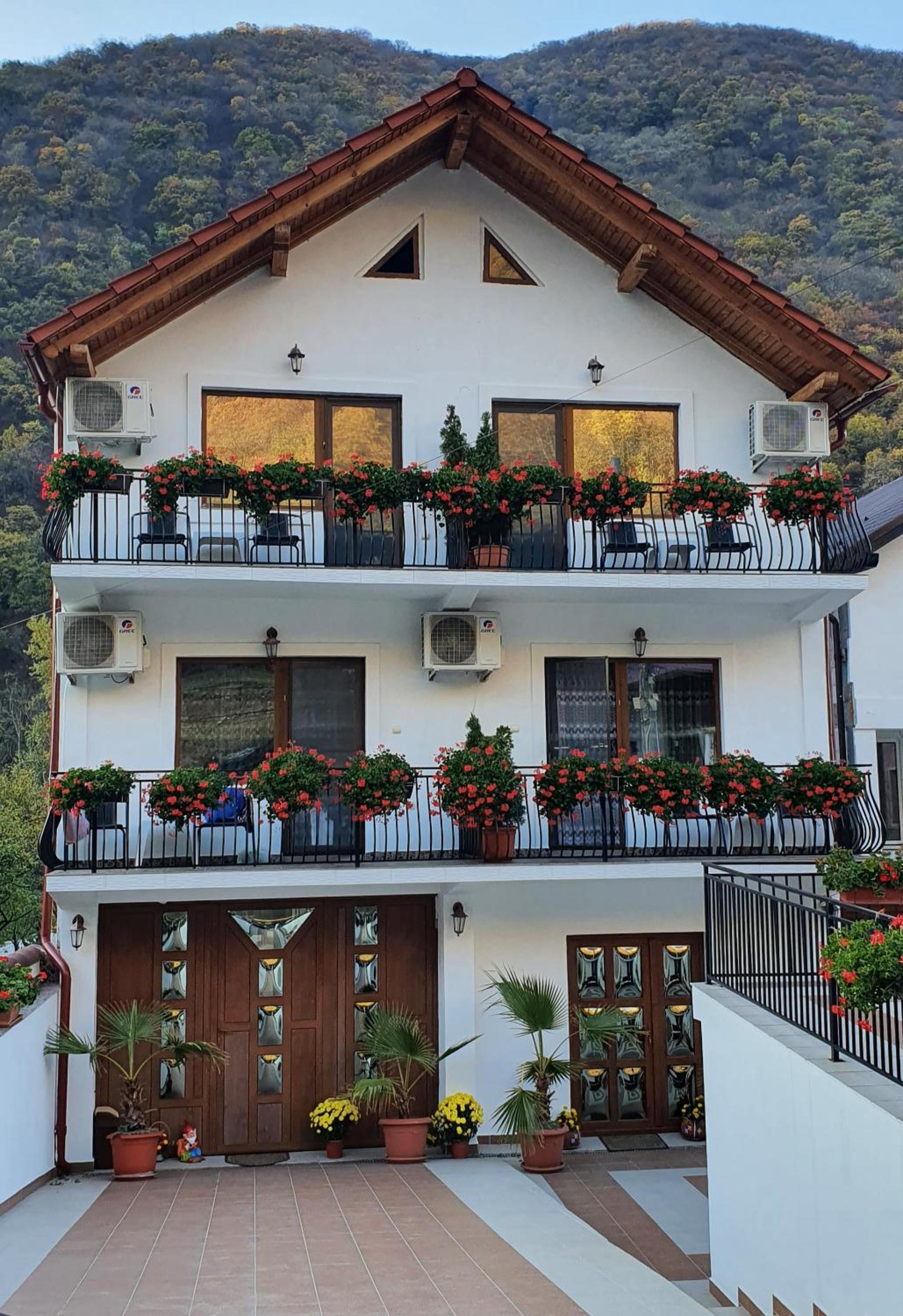 Casa Mimi Images
