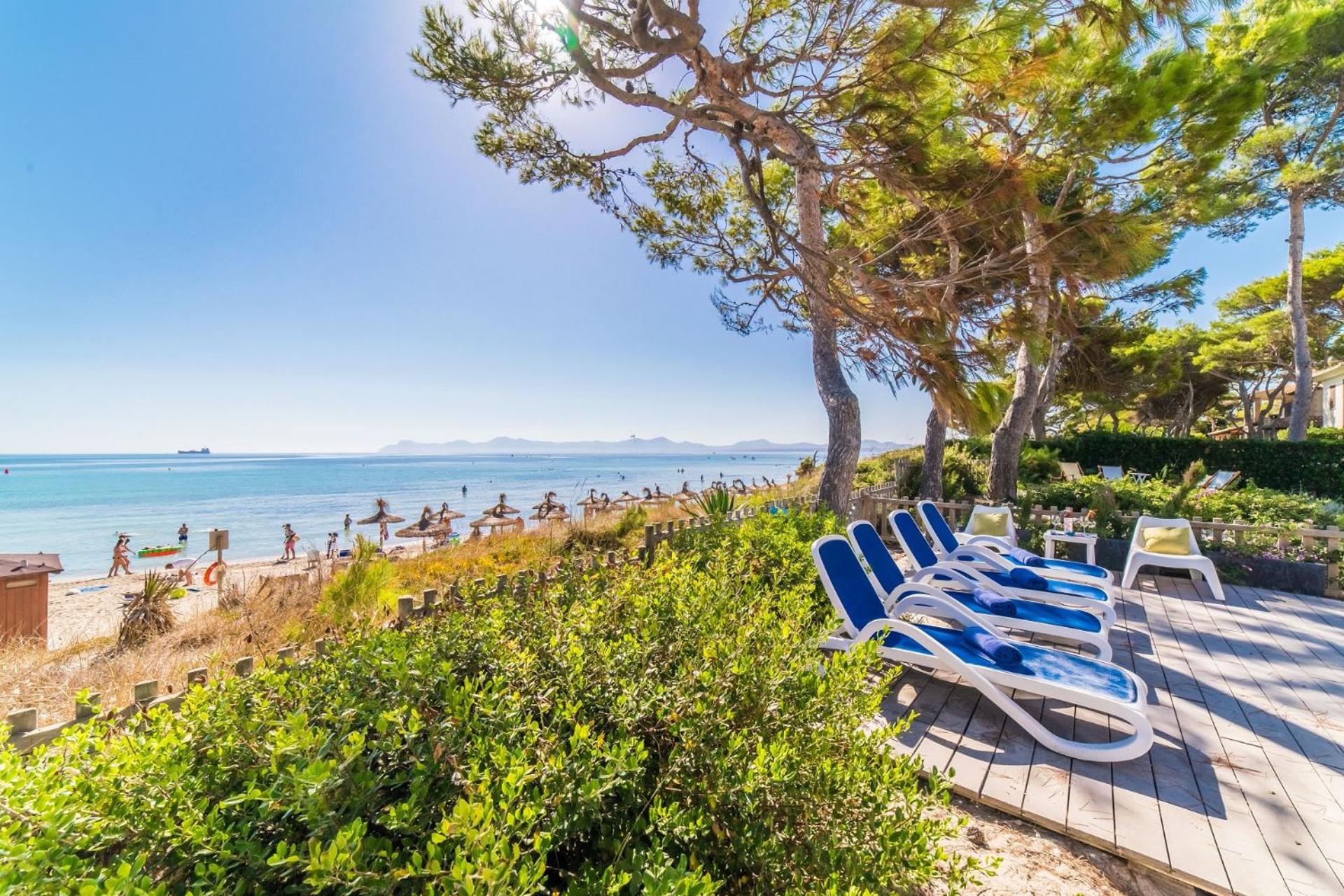 Ideal Property Mallorca - Gaviotas Images