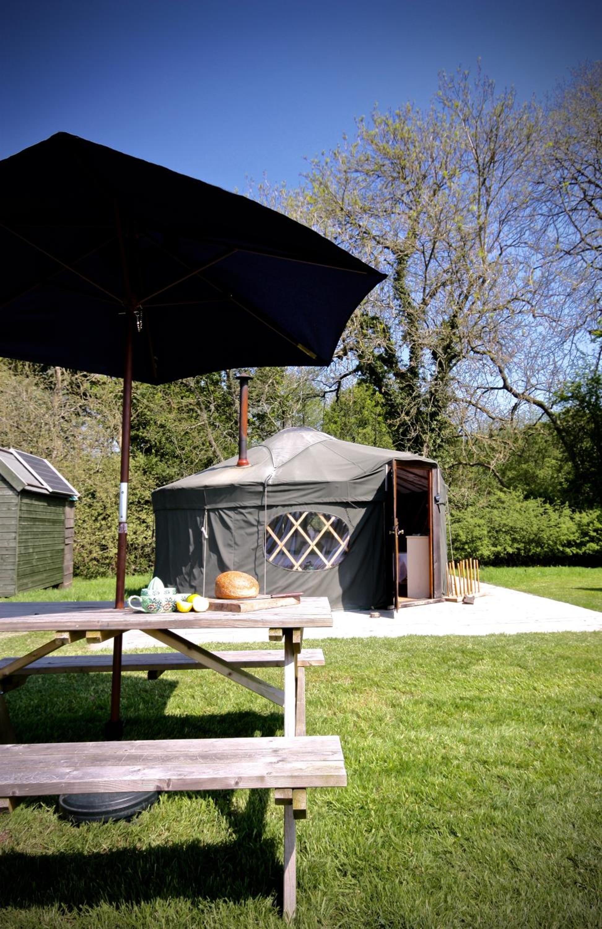 Beech Yurt