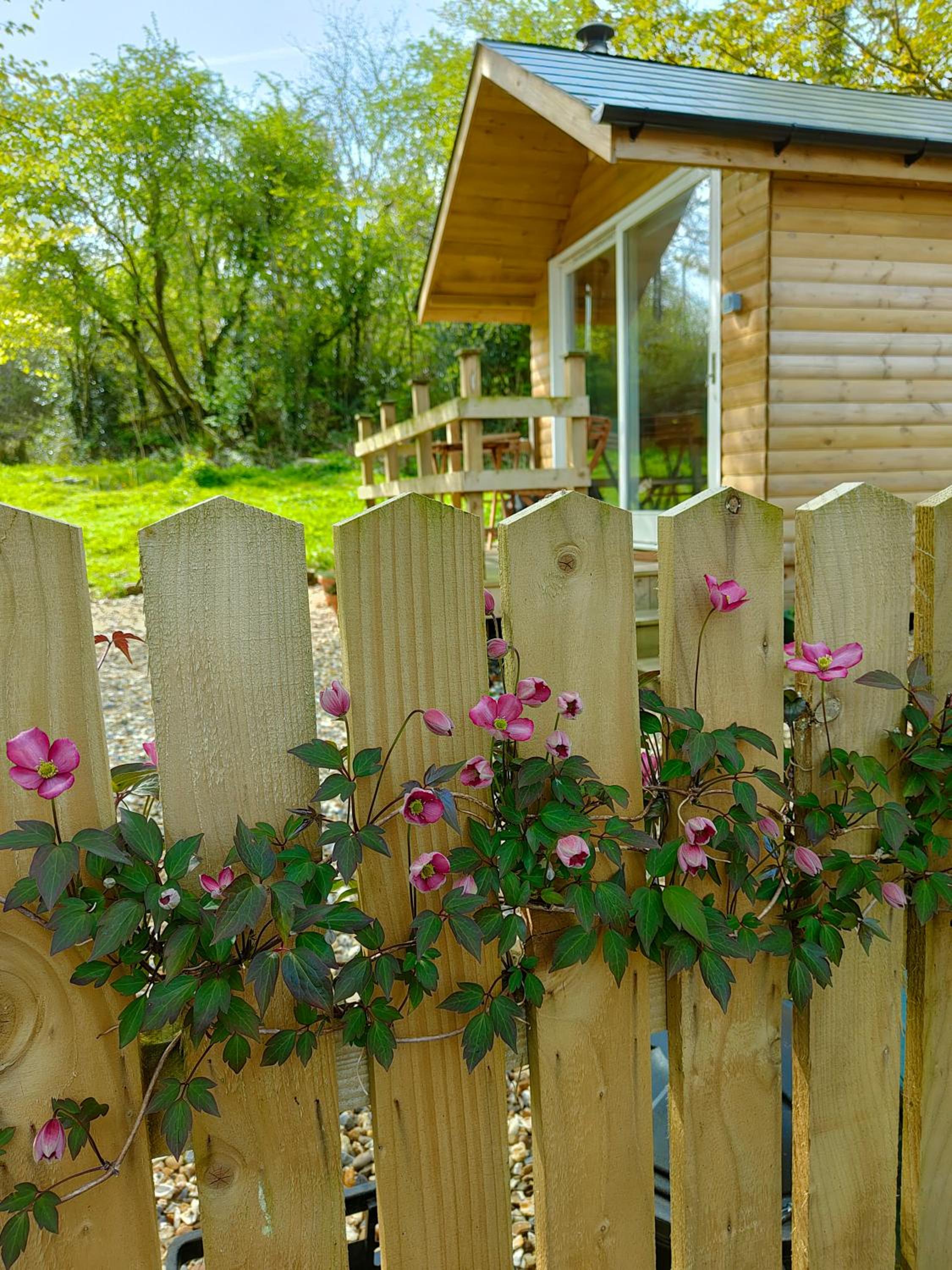 Dryw bach glamping hut Images
