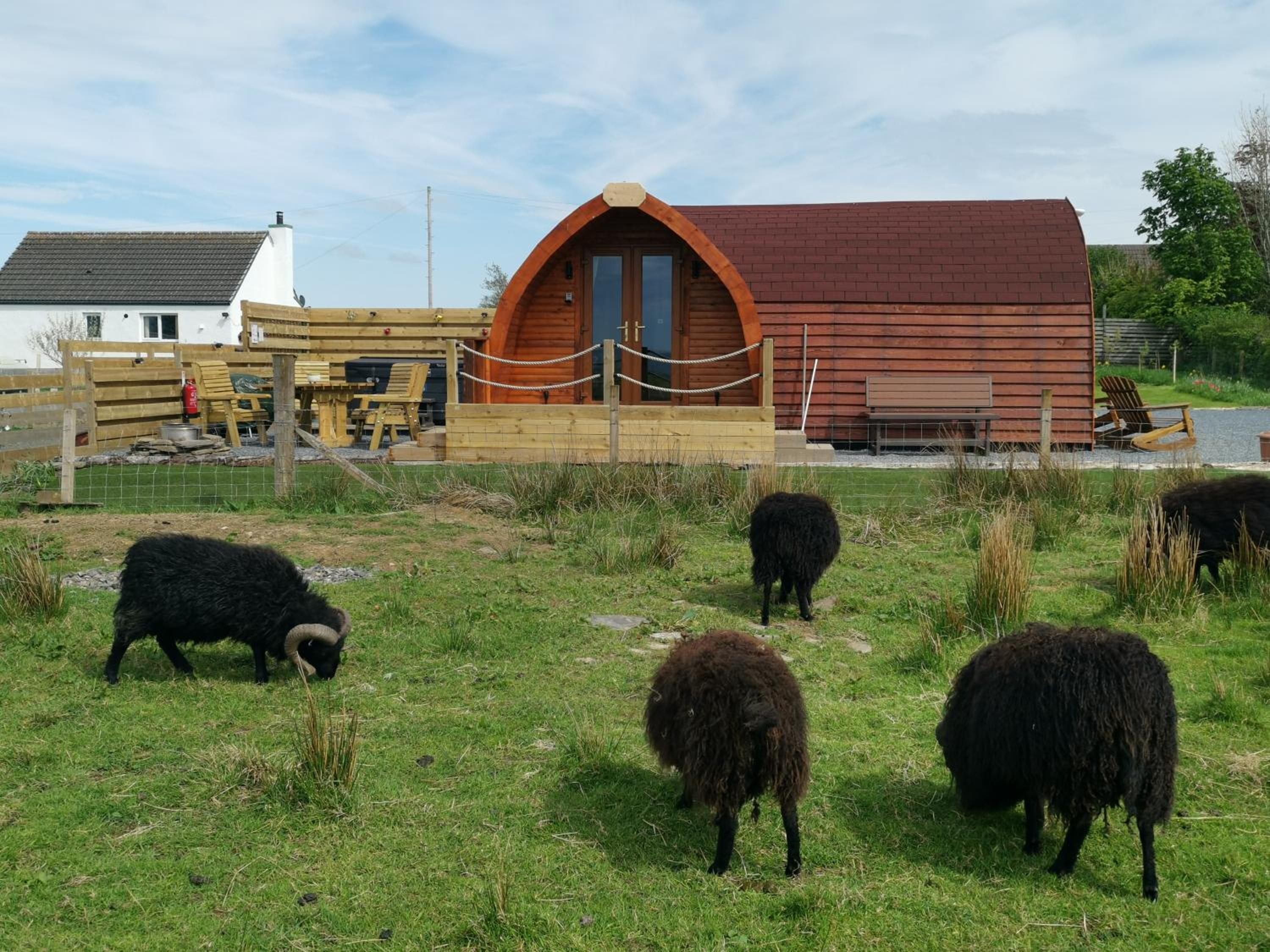 Achmeney Glamping Pod Larger than Average Pod Images