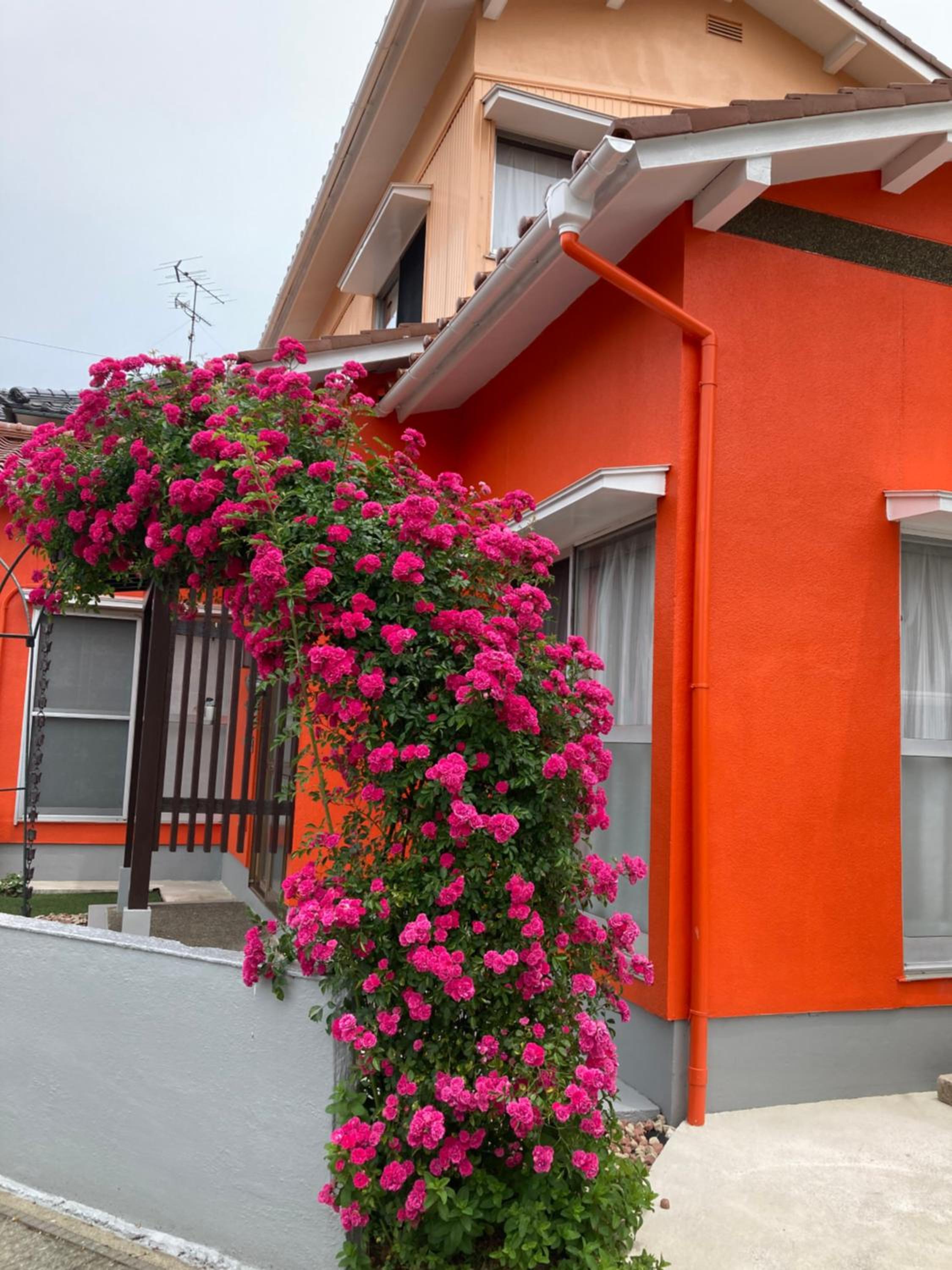 SIBARIAN Guest House Images