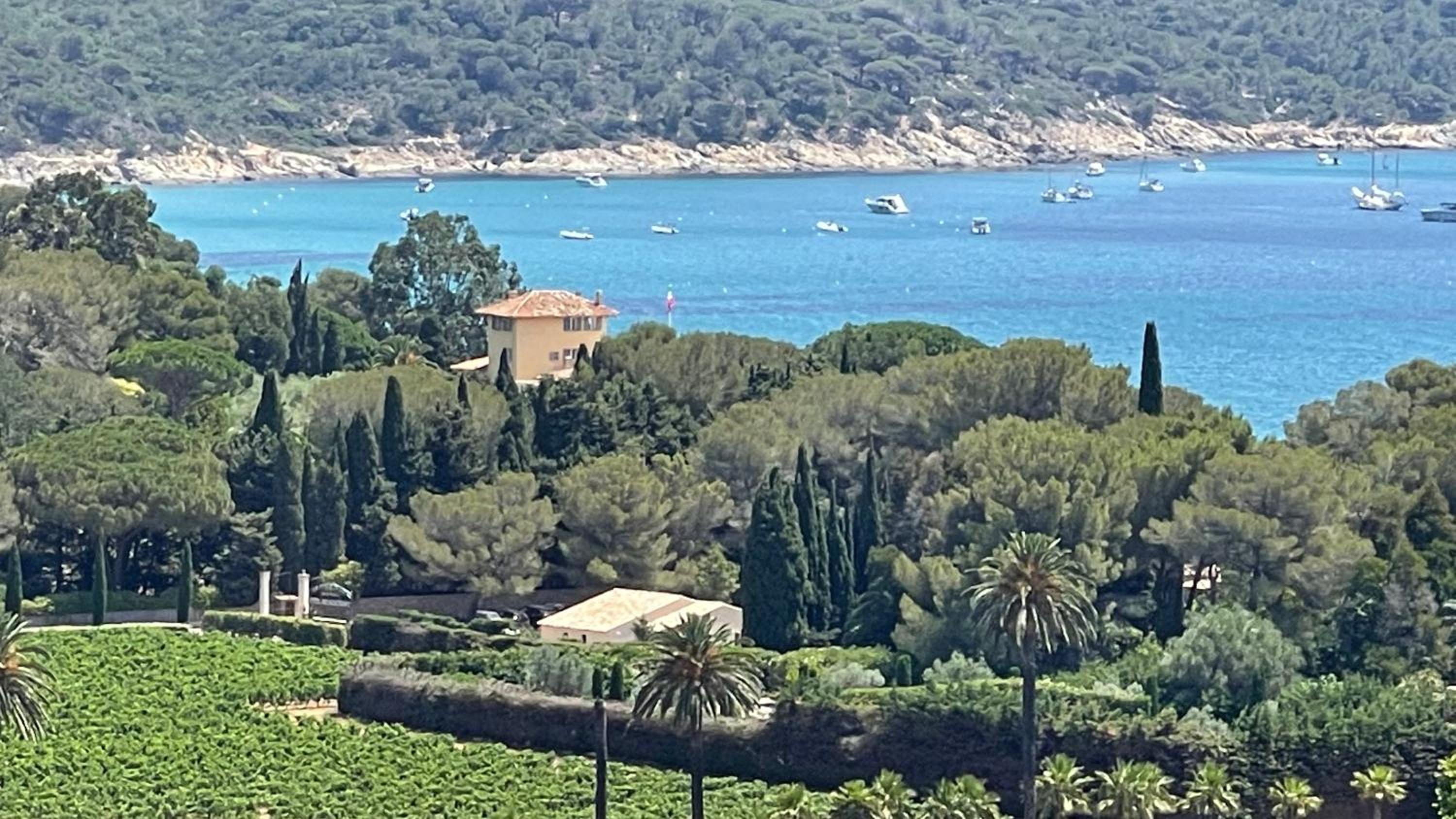 Gigaro View Sylvabelle Images