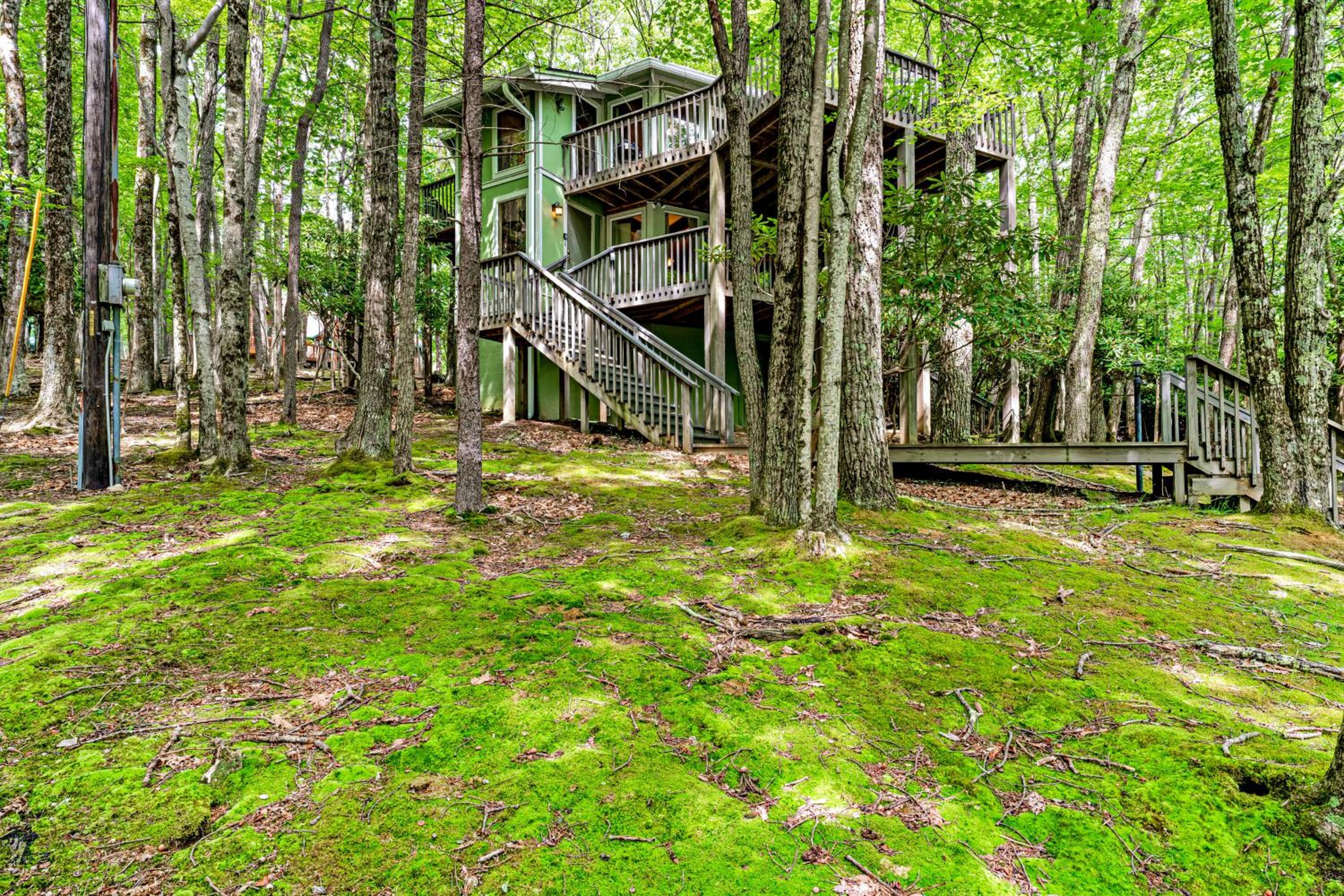 Teaberry Trail Images
