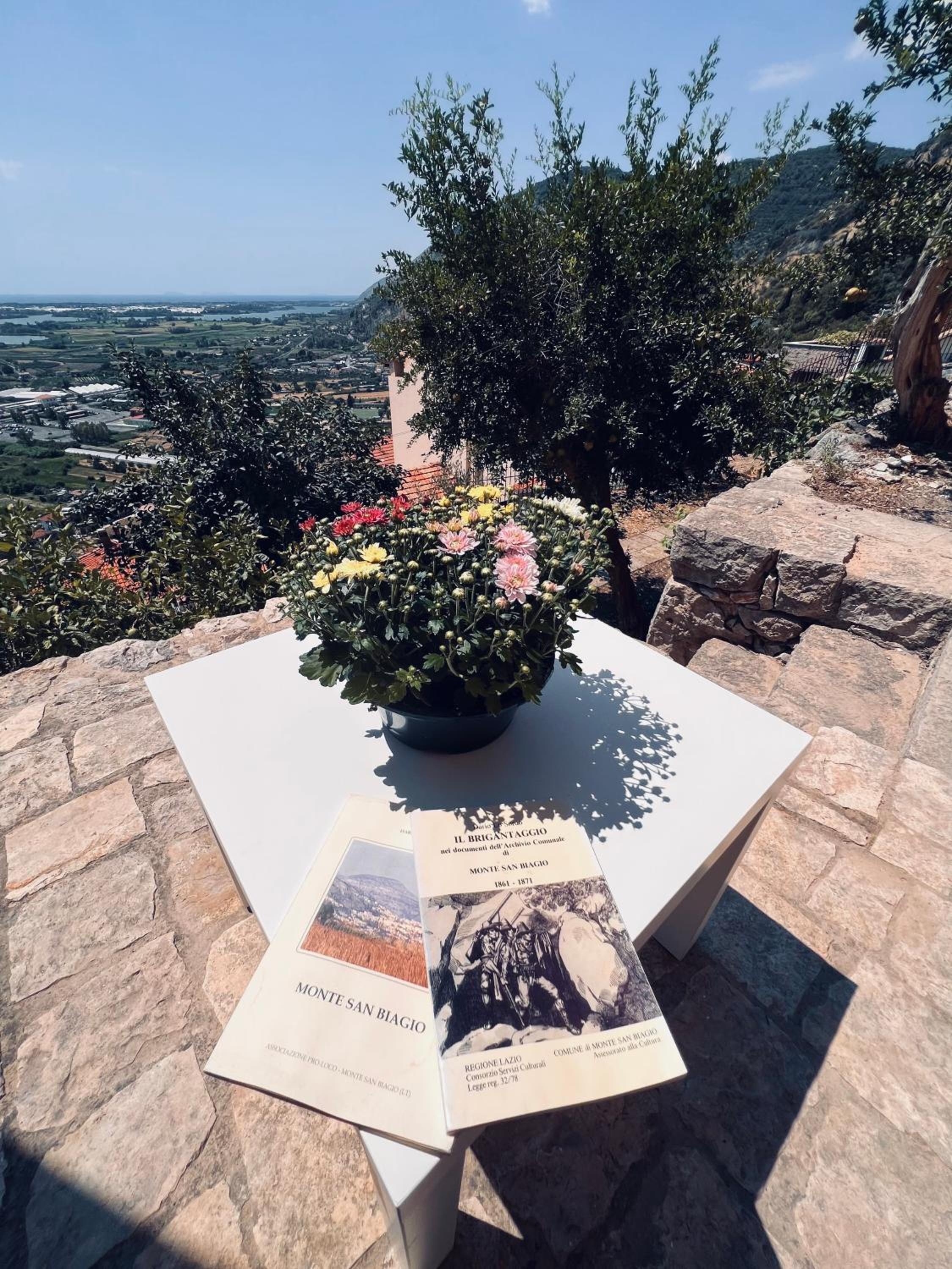 La bella vista Images