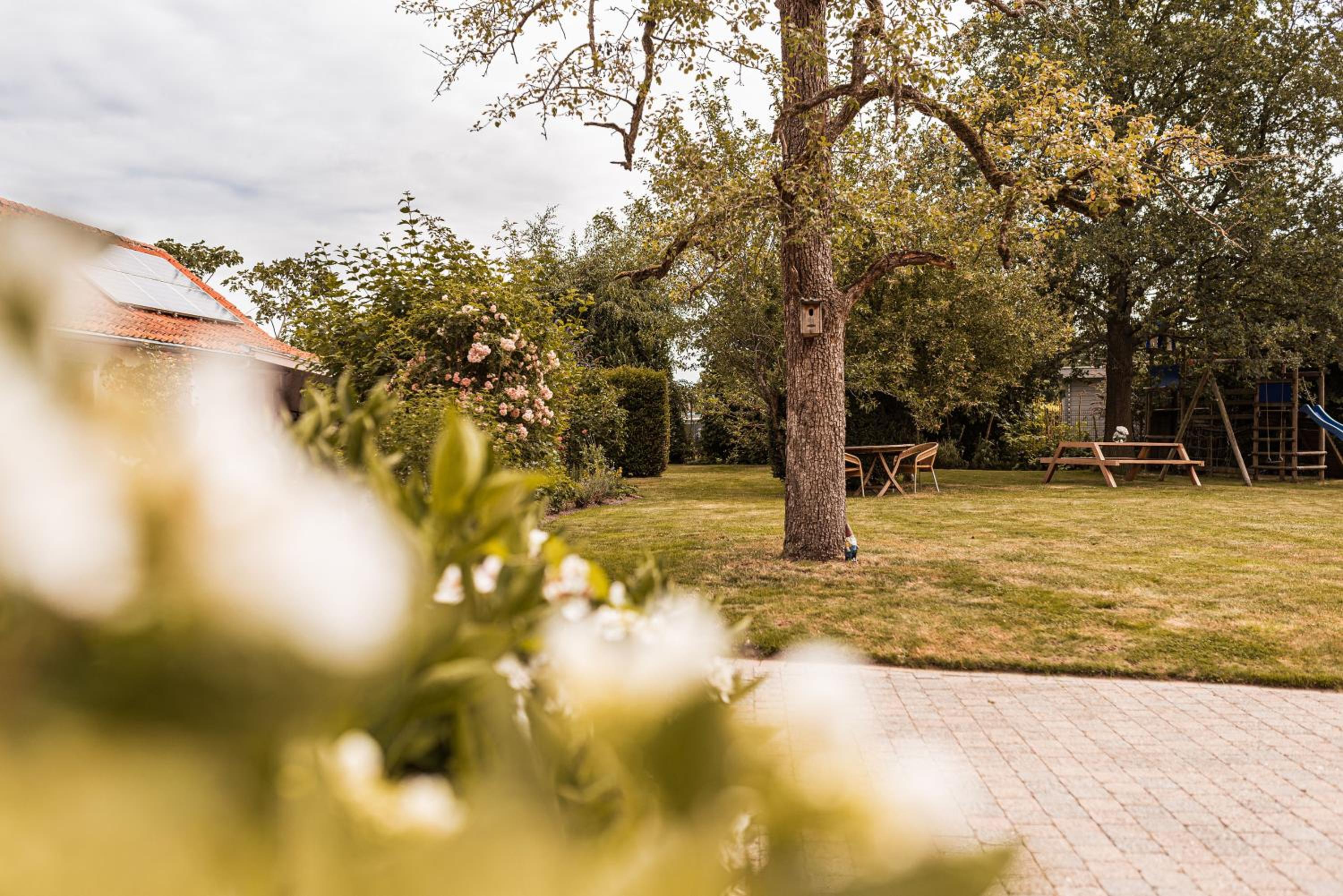 B&B Maison Lize Images