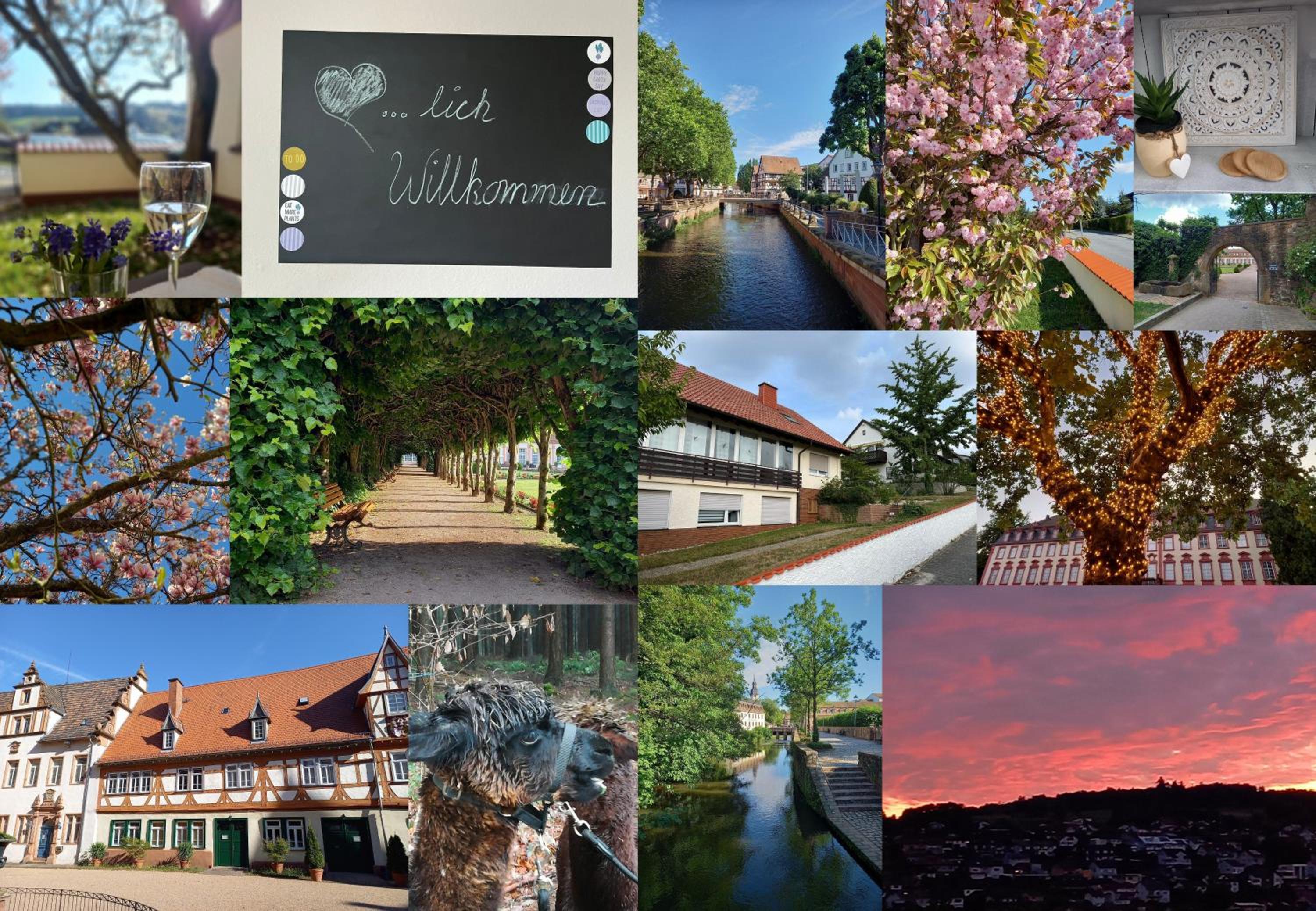 Odenwald Heaven Images