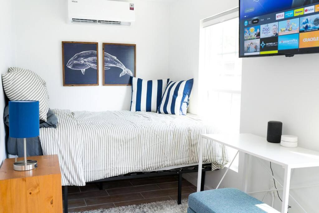 Freshly Built Studio Apartment w/ Amazing Windows Images