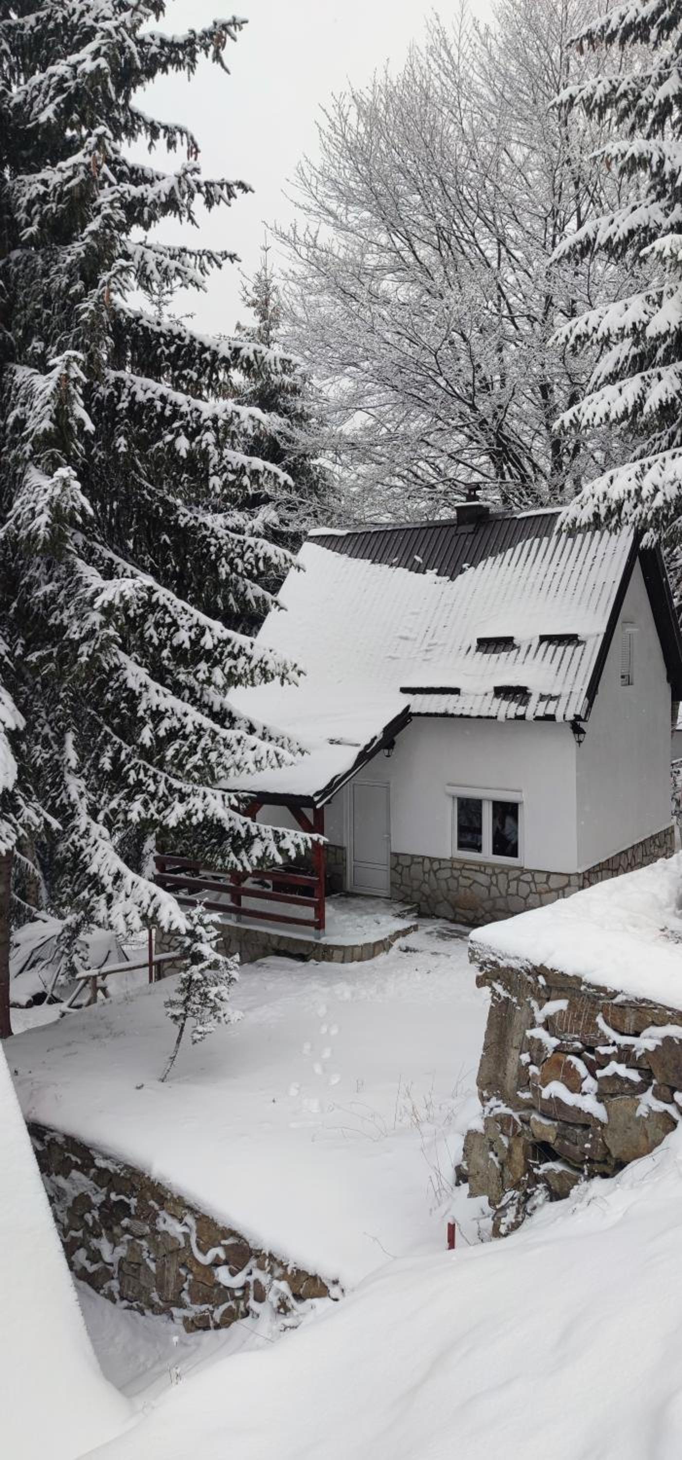 Sova Kopaonik
