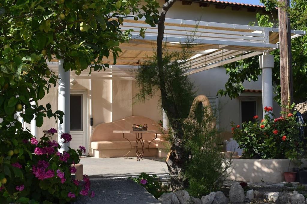 Dolichi House Images