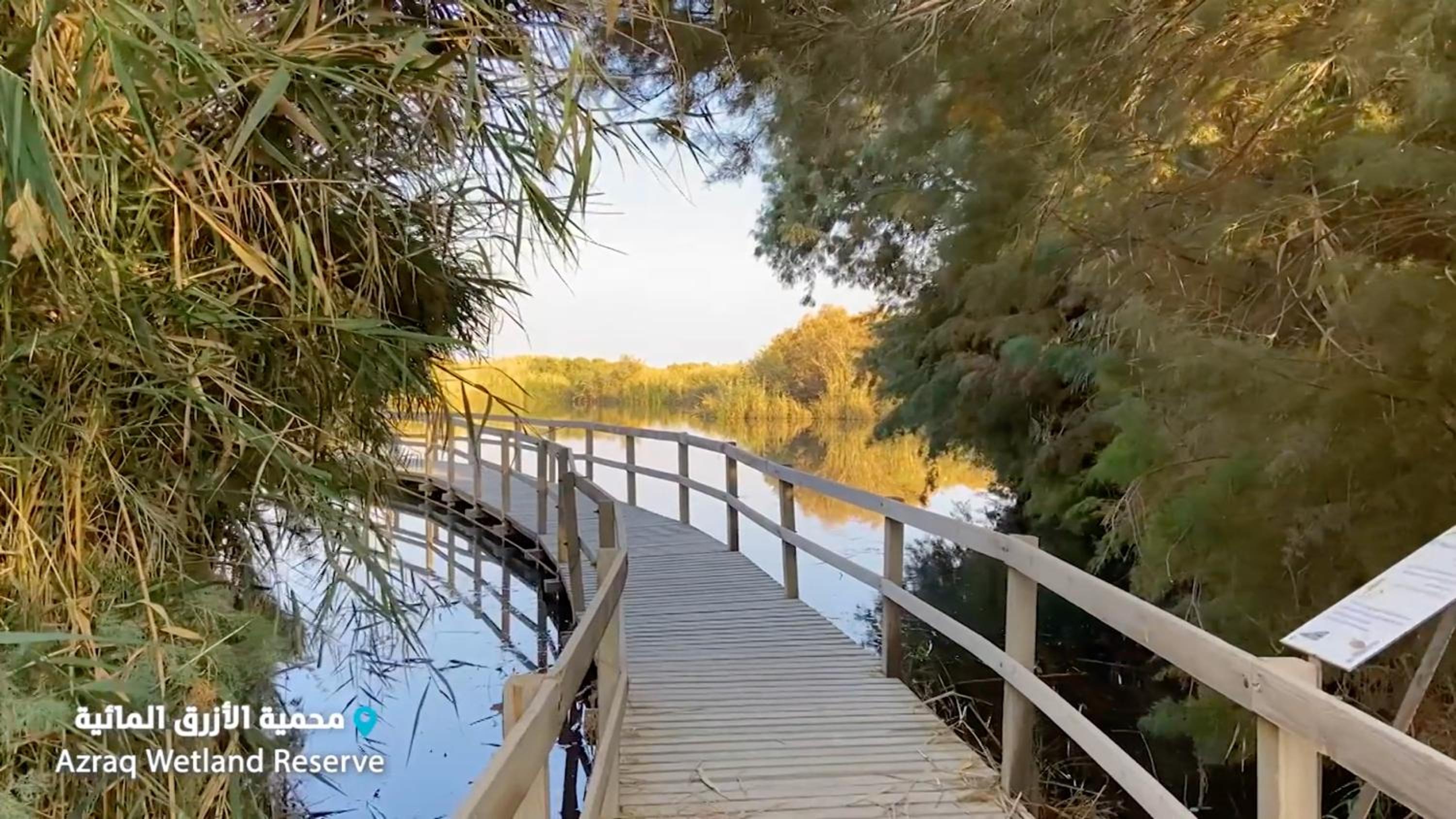 Azraq Lodge Images