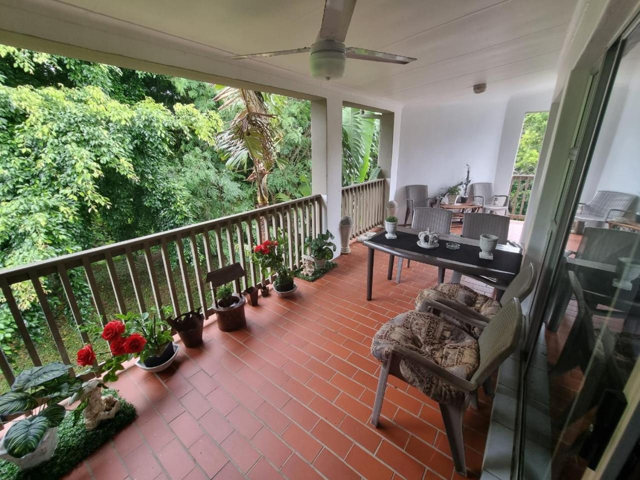 56 The Bridge St Lucia Images