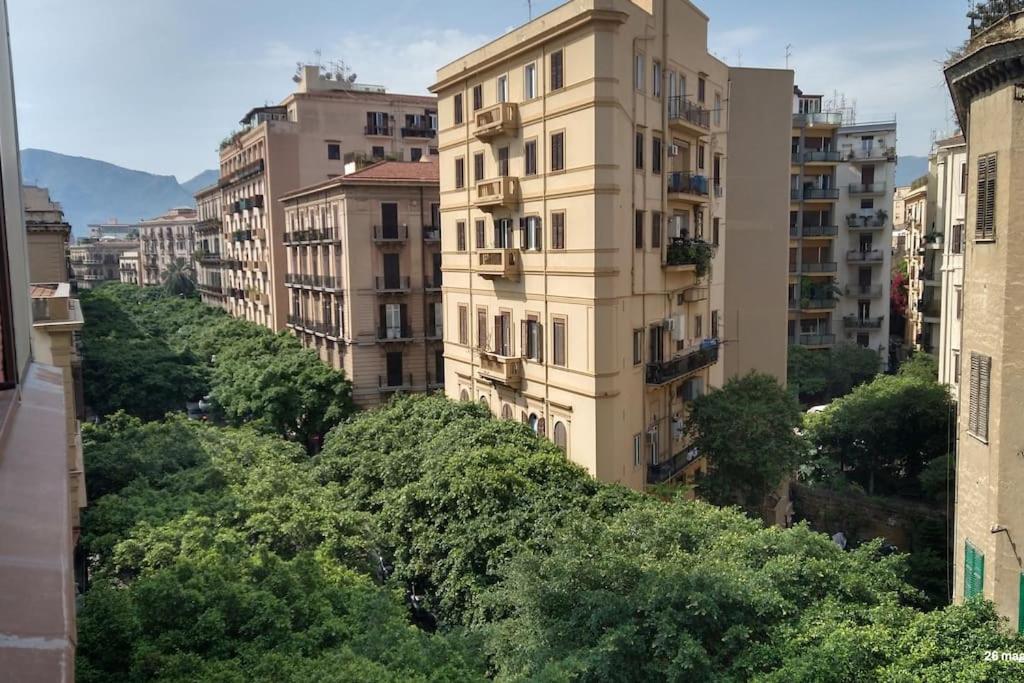Casetta Politeama Images