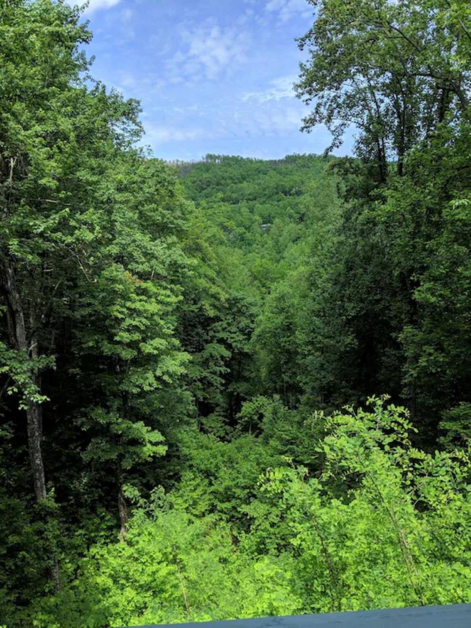 Want to feel like you're Up In The Trees!! What a Great View! Images