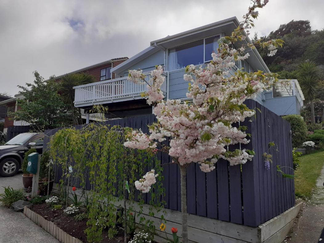 New, Cosy & Private 1-Bedroom & Living Flat Images