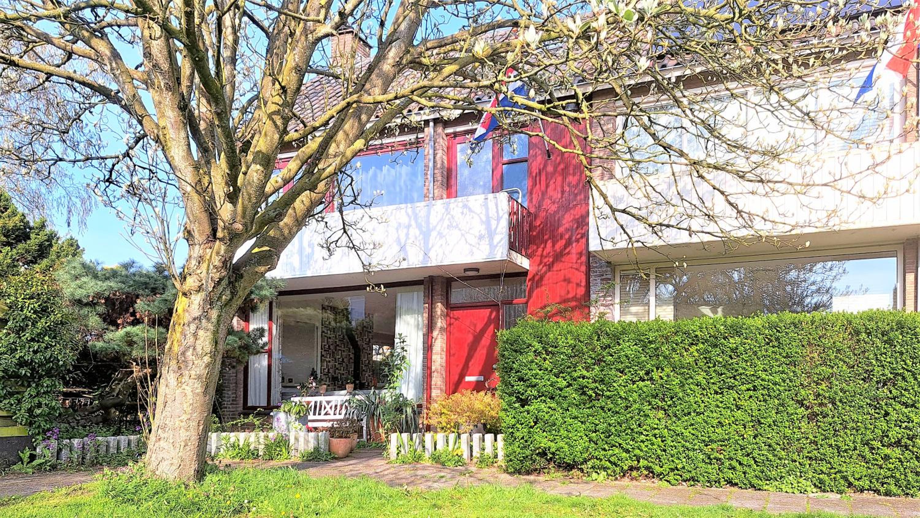 Huis met de enorme boom Images