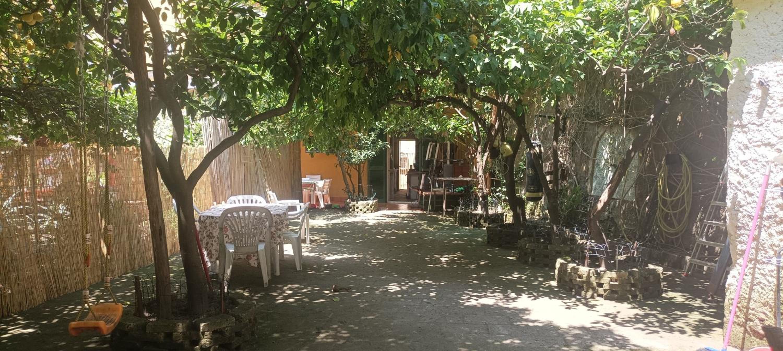 Il giardino nascosto Images