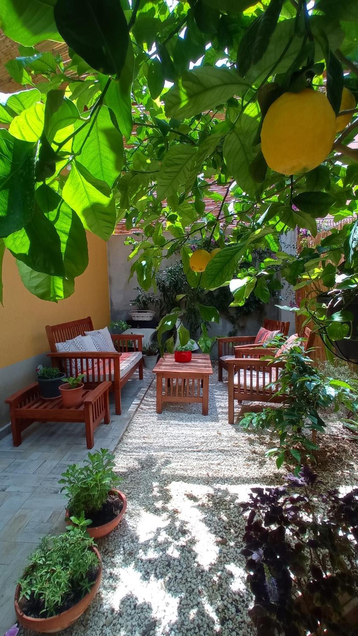Green House Images