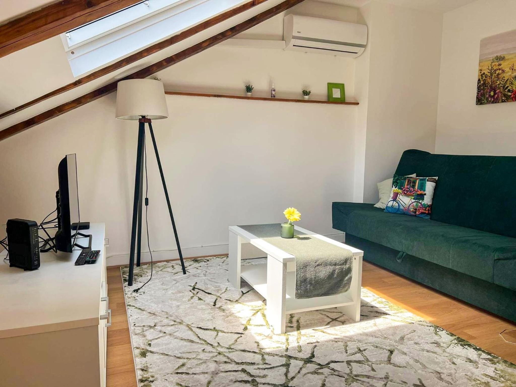 Sarajevo Loft Apartment Images
