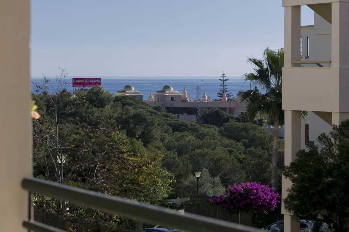 Apartment Aguila Real Images