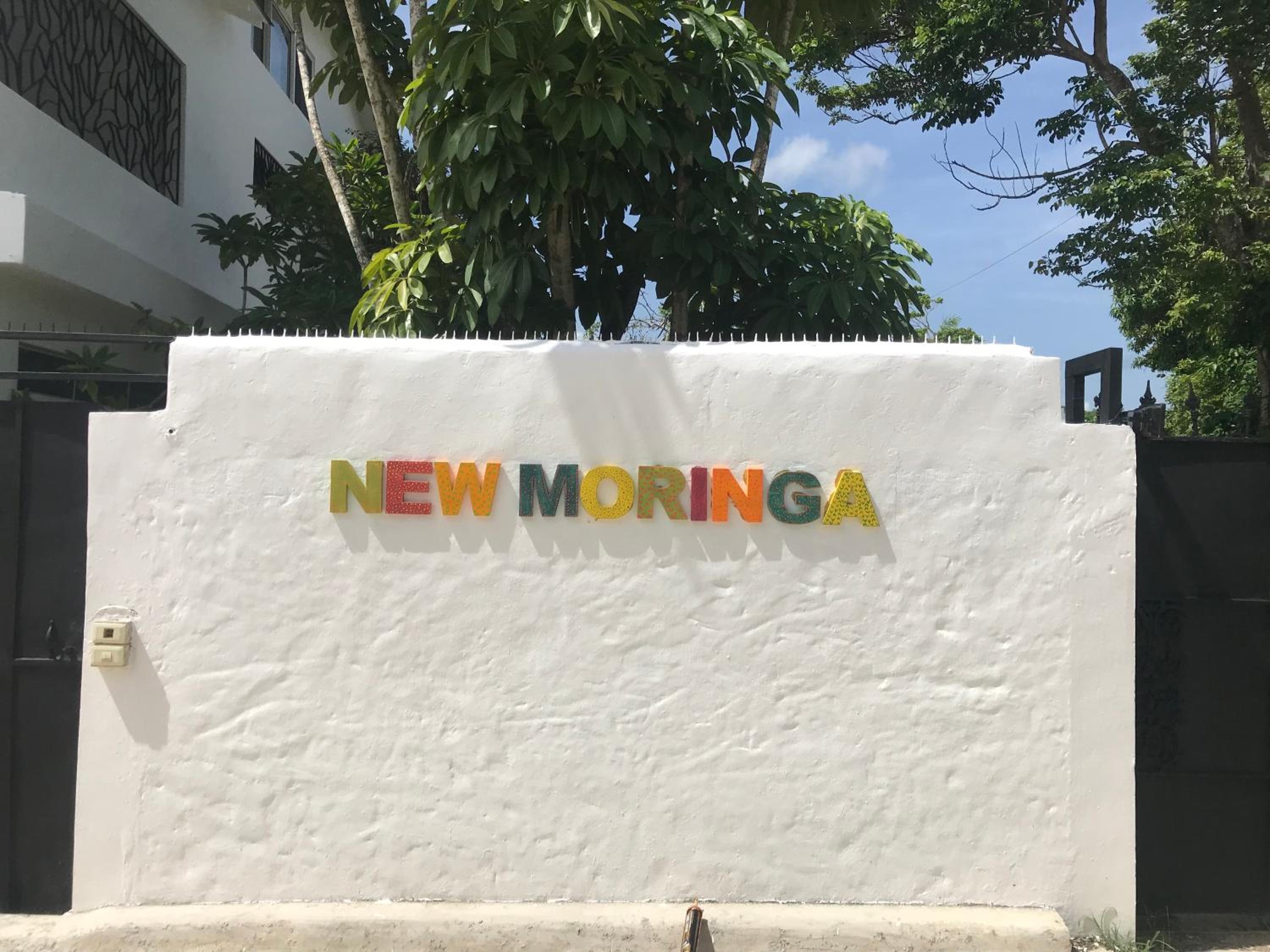 NEW MORINGA Images