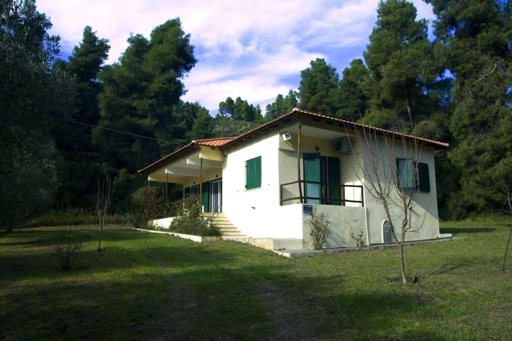 Pine Tree Cottage Images