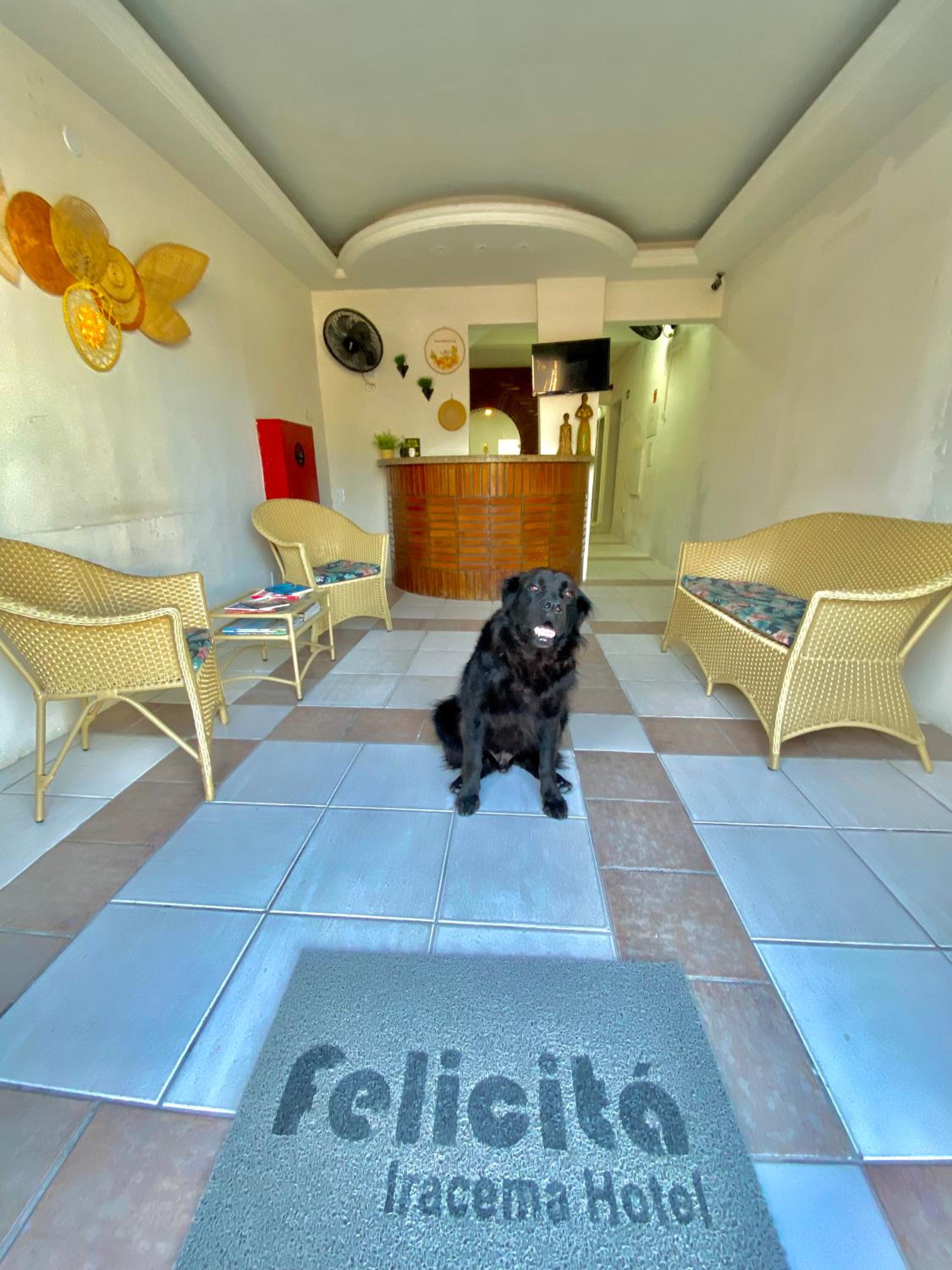 Felicità Praia Hotel Images