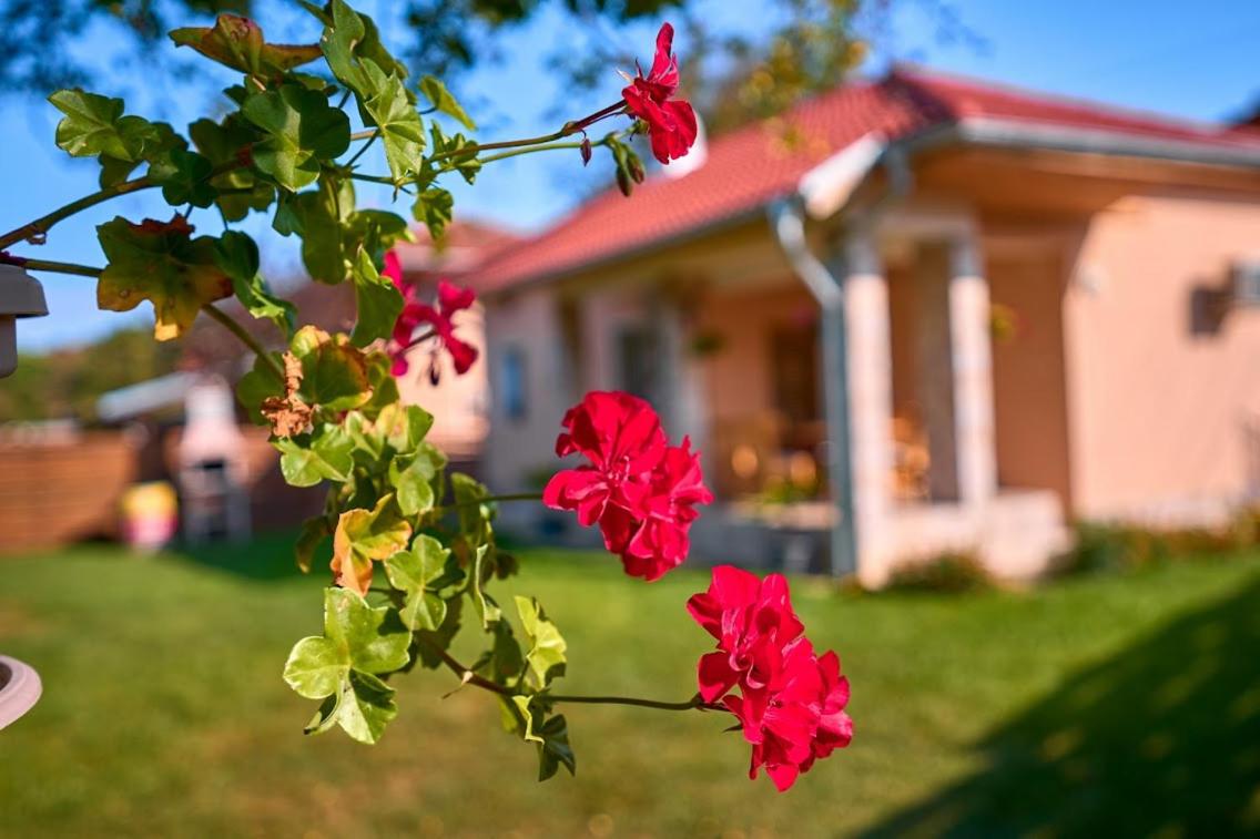 Villa Simida Images