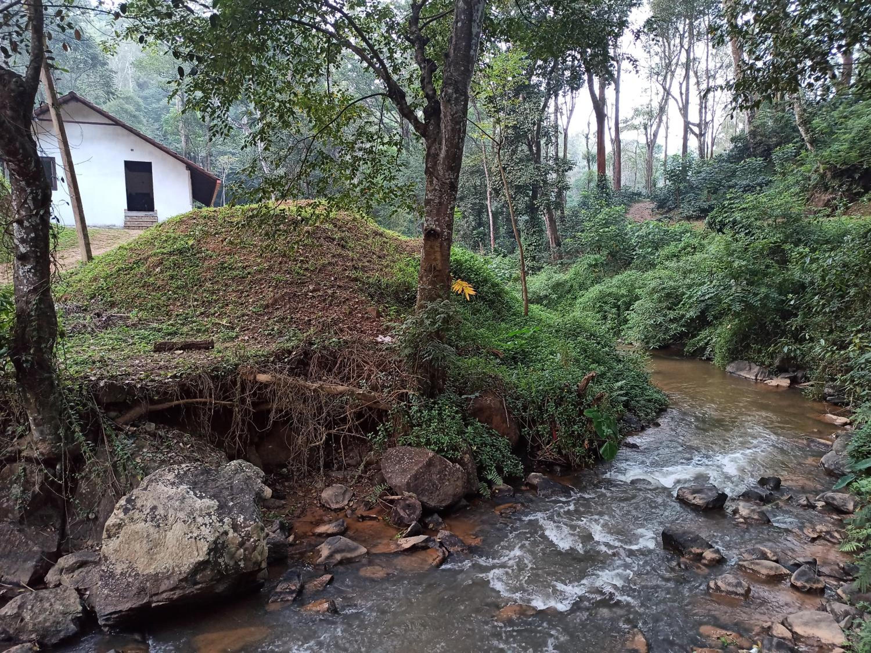 Creek Side