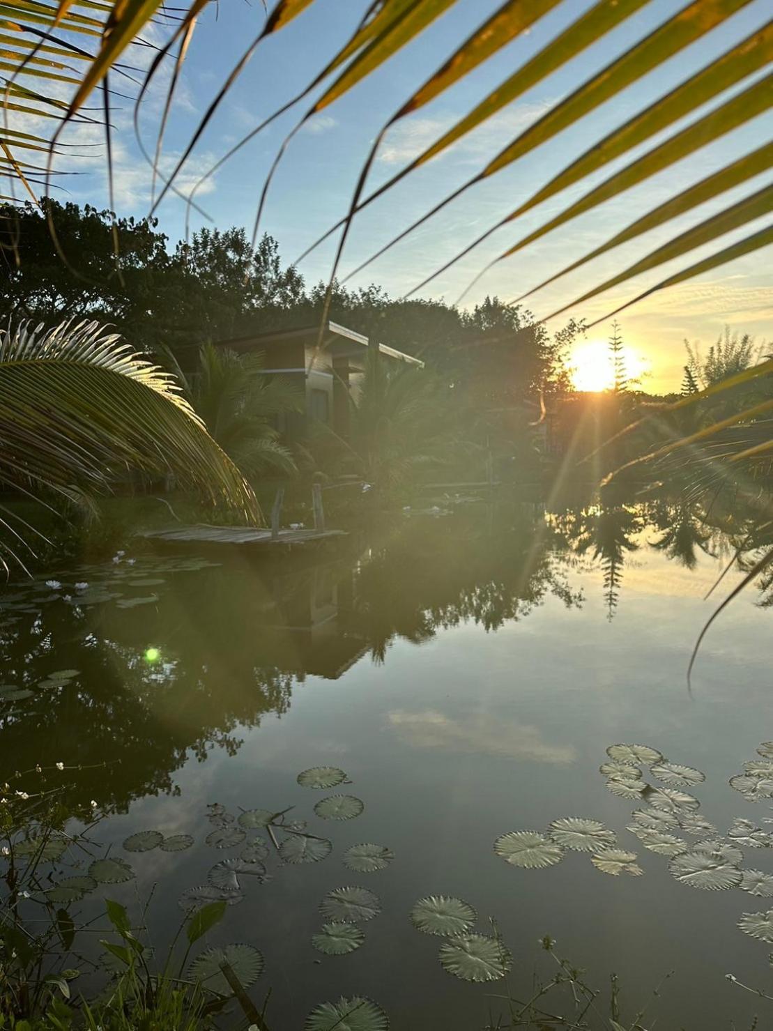 Likit Kirin Khao Kho Images